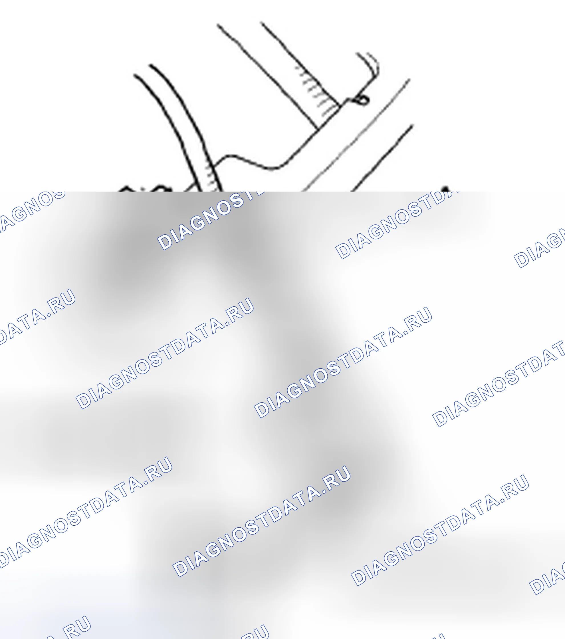 Рис. 205. Honda Element YH2 рестайлинг