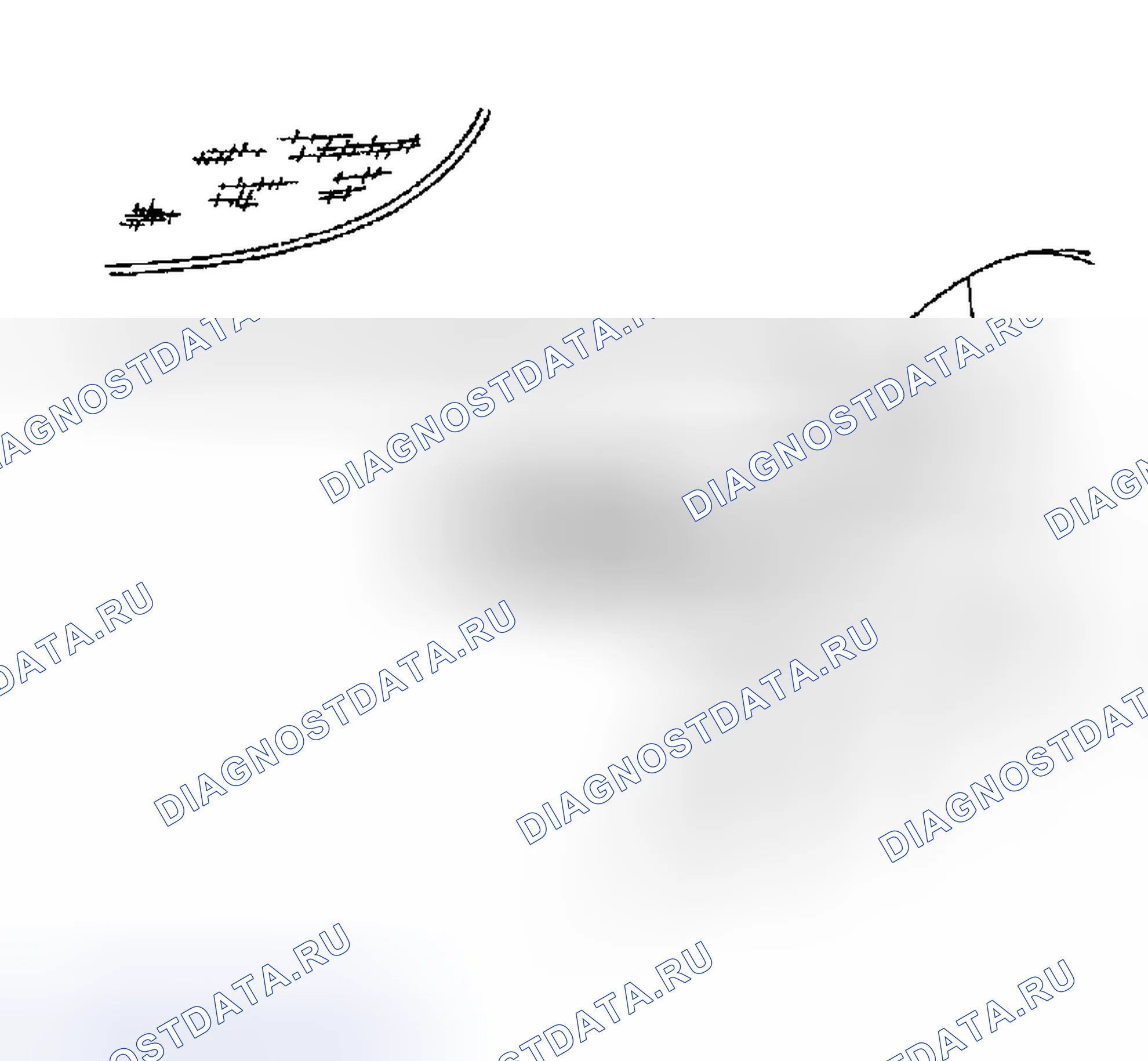 Рис. 5. Suzuki Verona I