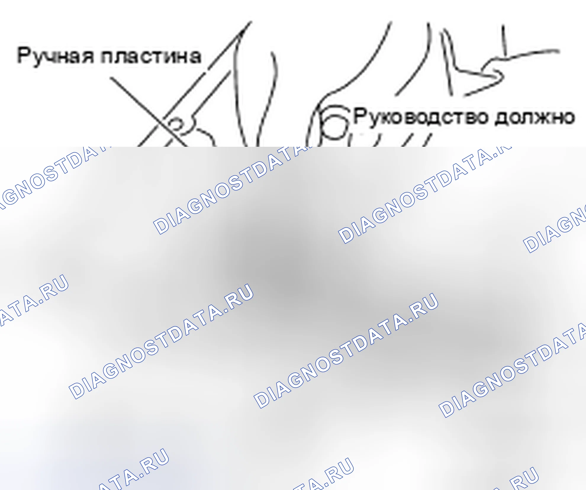 Рис. 285. Nissan 370Z I рестайлинг