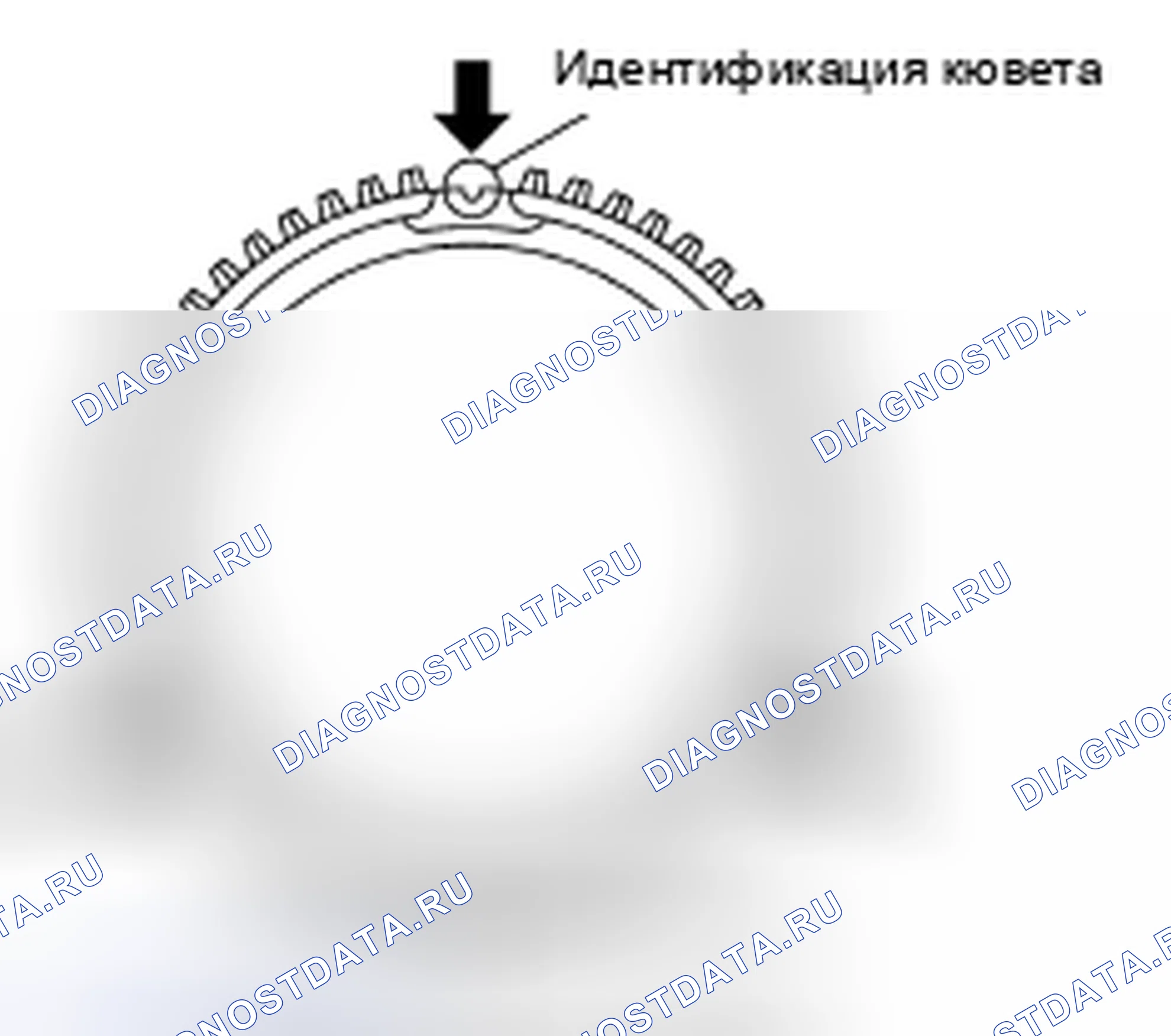 Рис. 297. Nissan 370Z I рестайлинг