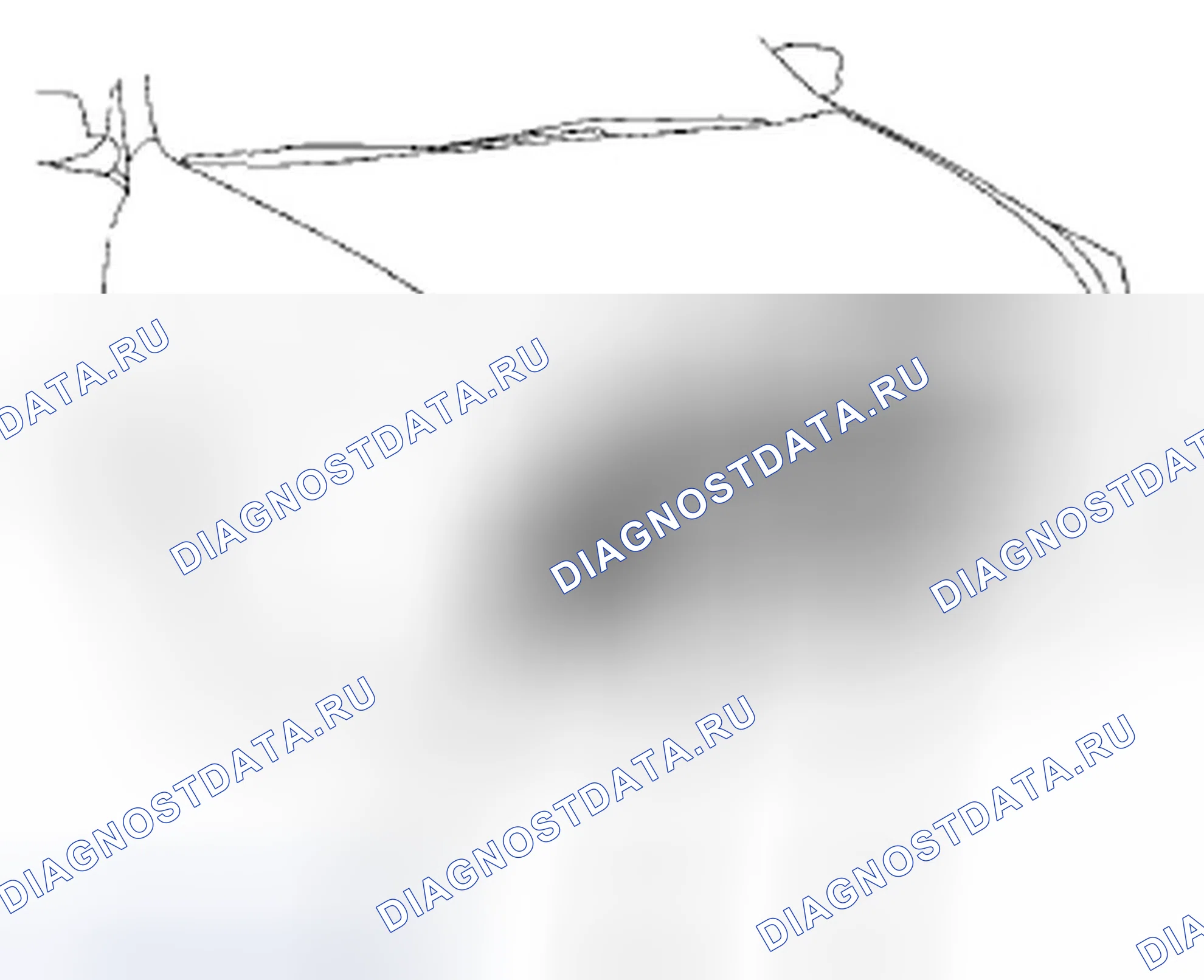 Рис. 7. Honda Accord VIII рестайлинг