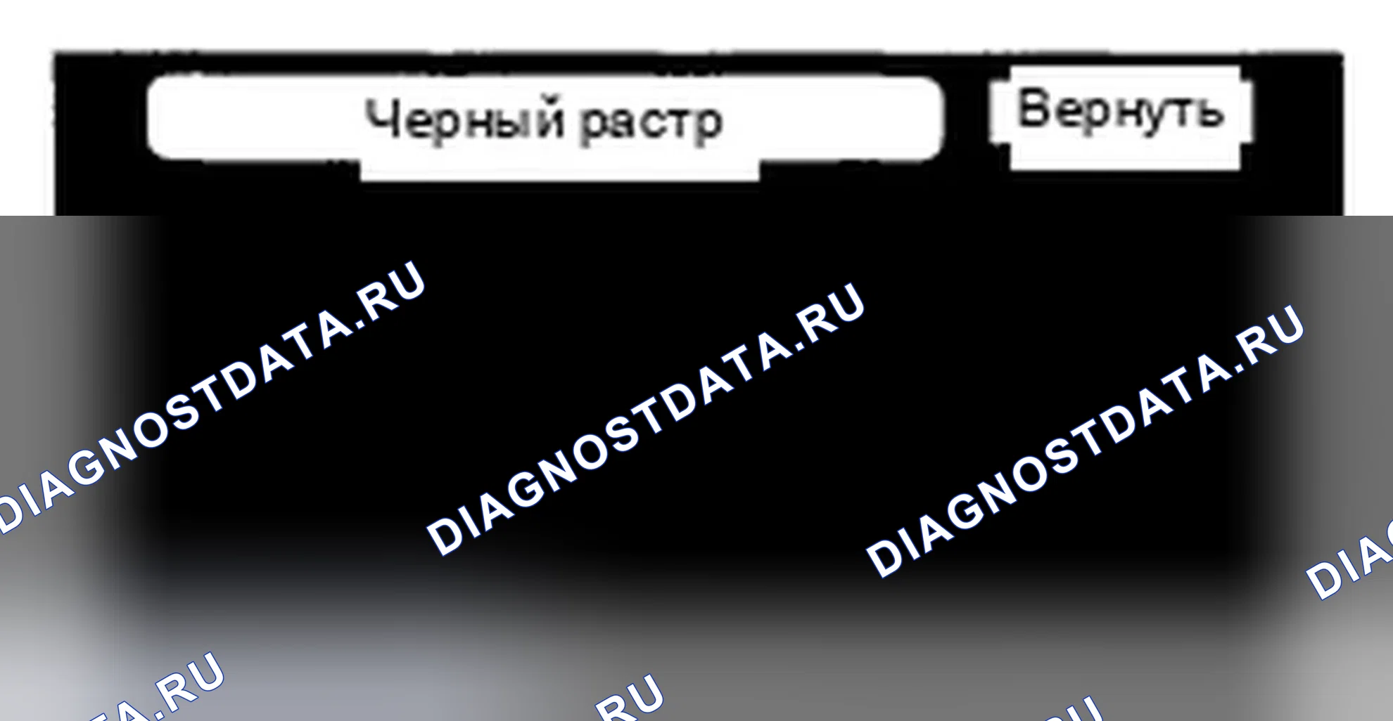 Рис. 137: Черный растр. Honda Accord VII рестайлинг