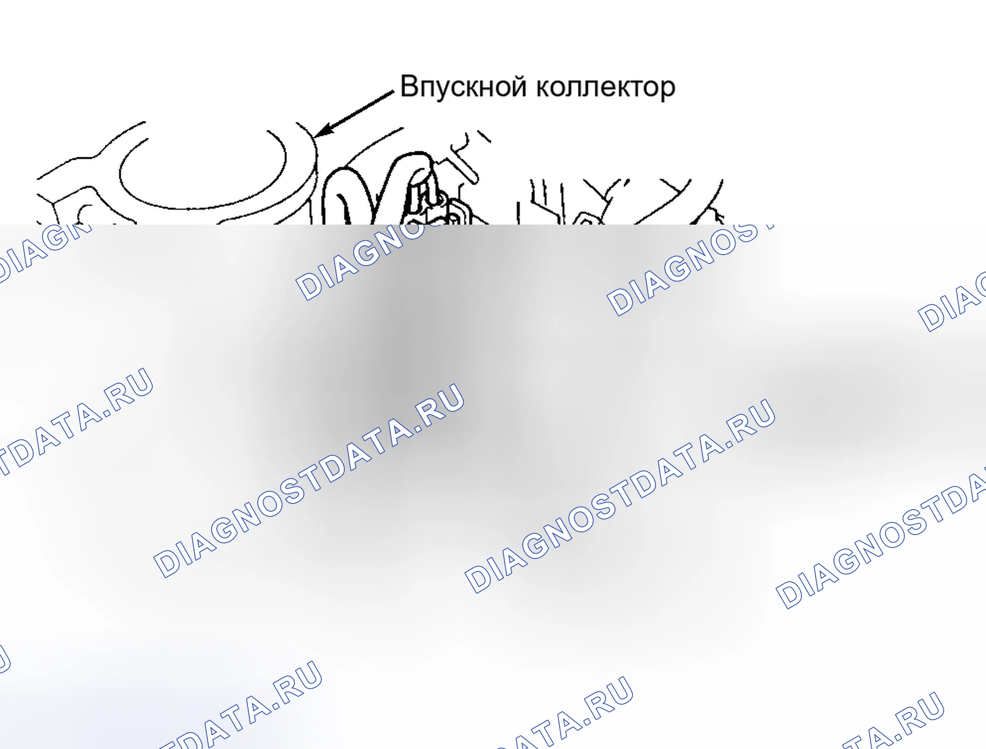 Рис. 9. Honda Accord X рестайлинг