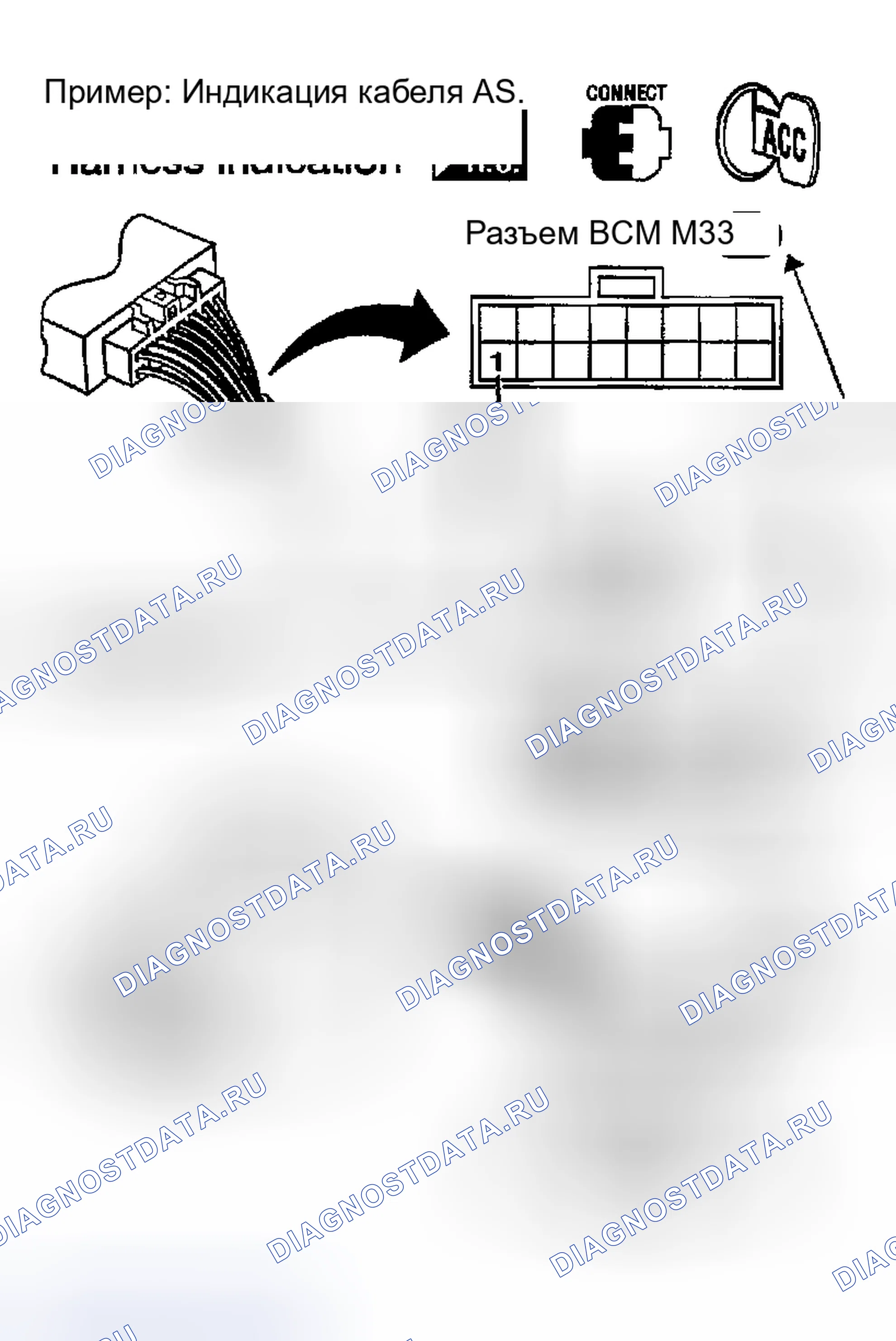 Рис. 6: Индикация жгута. Nissan Sentra B15