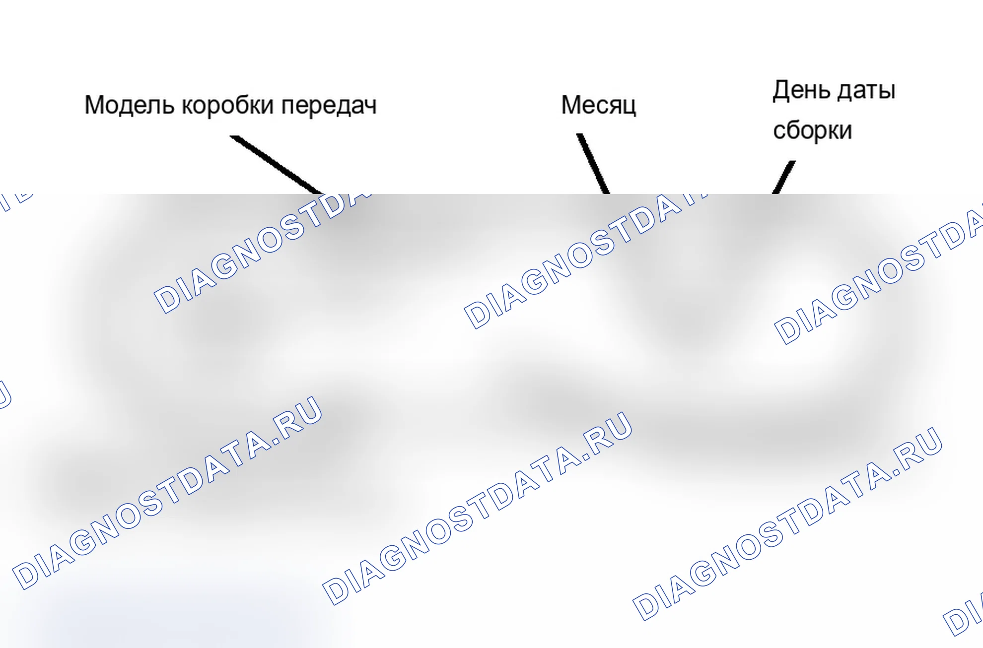 Рис. 1: ИДЕНТИФИКАЦИЯ. Ford Club Wagon E150 