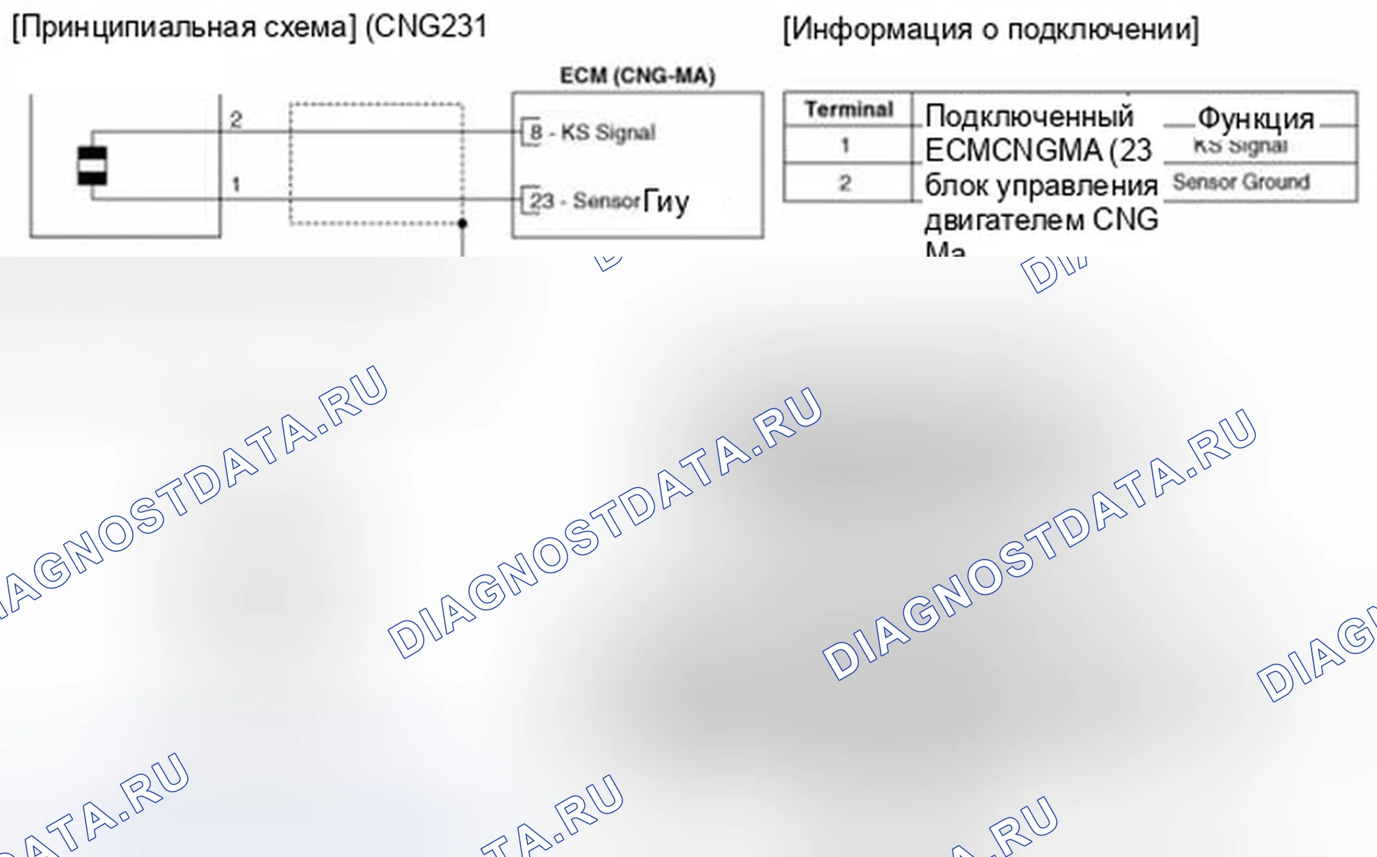 Рис. 13: (М / Т). Hyundai Elantra V
