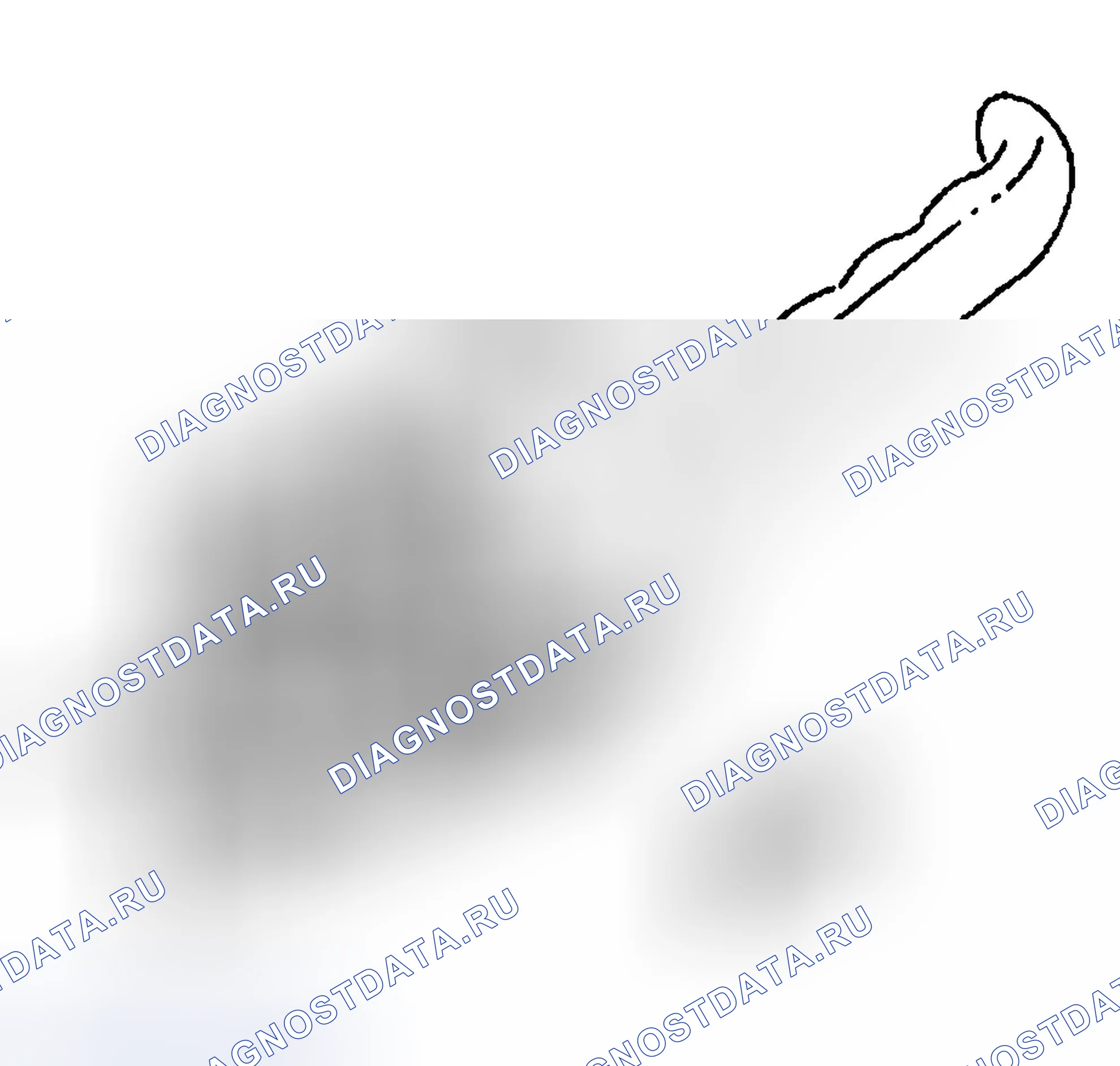 Рис. 237. Chevrolet Silverado 1500 HD 