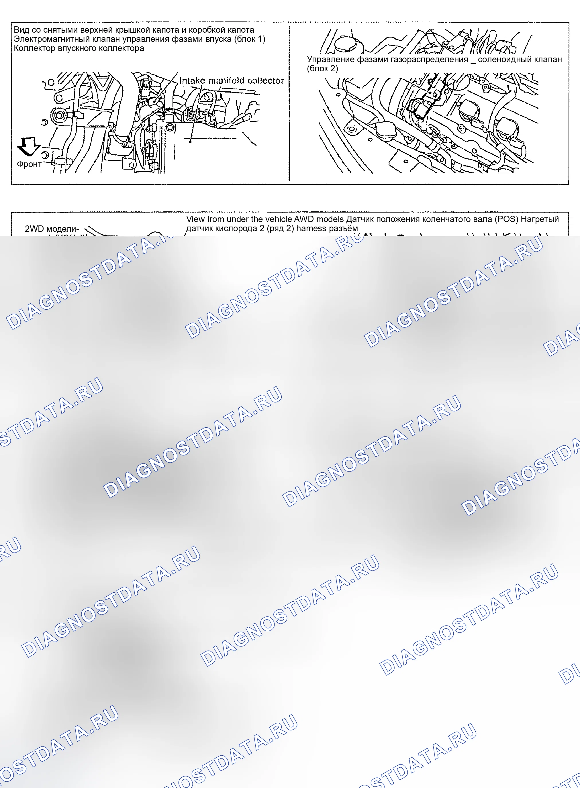 Рис. 152. Nissan Sentra B15