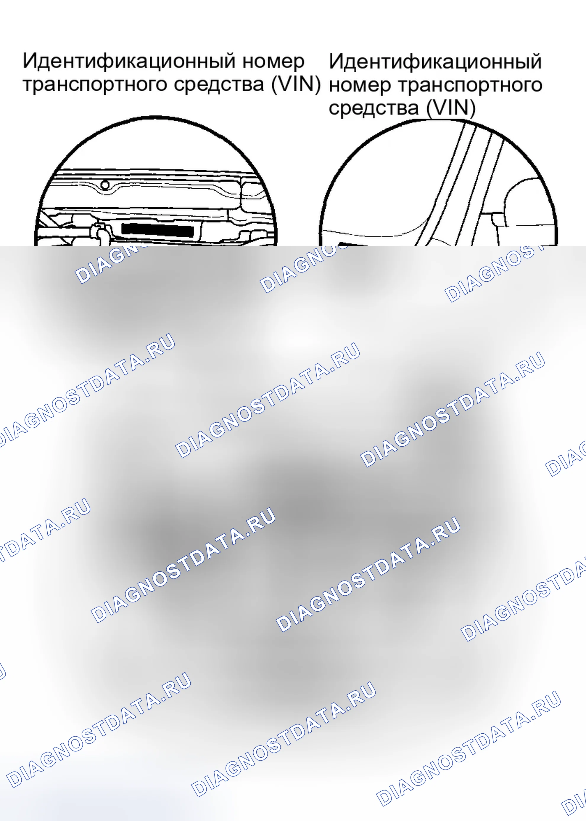 Рис. 9: Расположение идентификационных номеров. Honda CR-V II рестайлинг