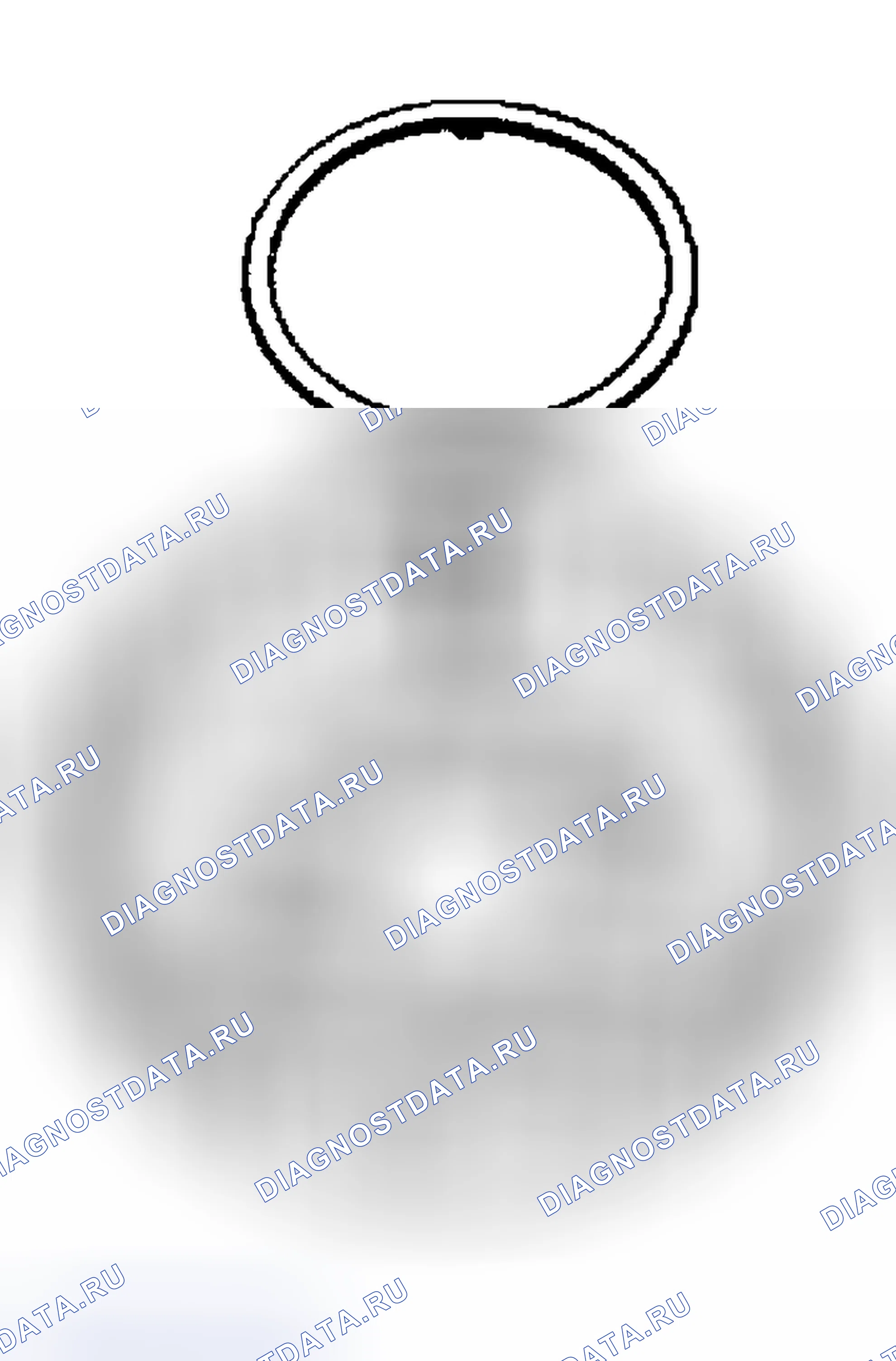 Рис. 557. Honda Odyssey (North America) I