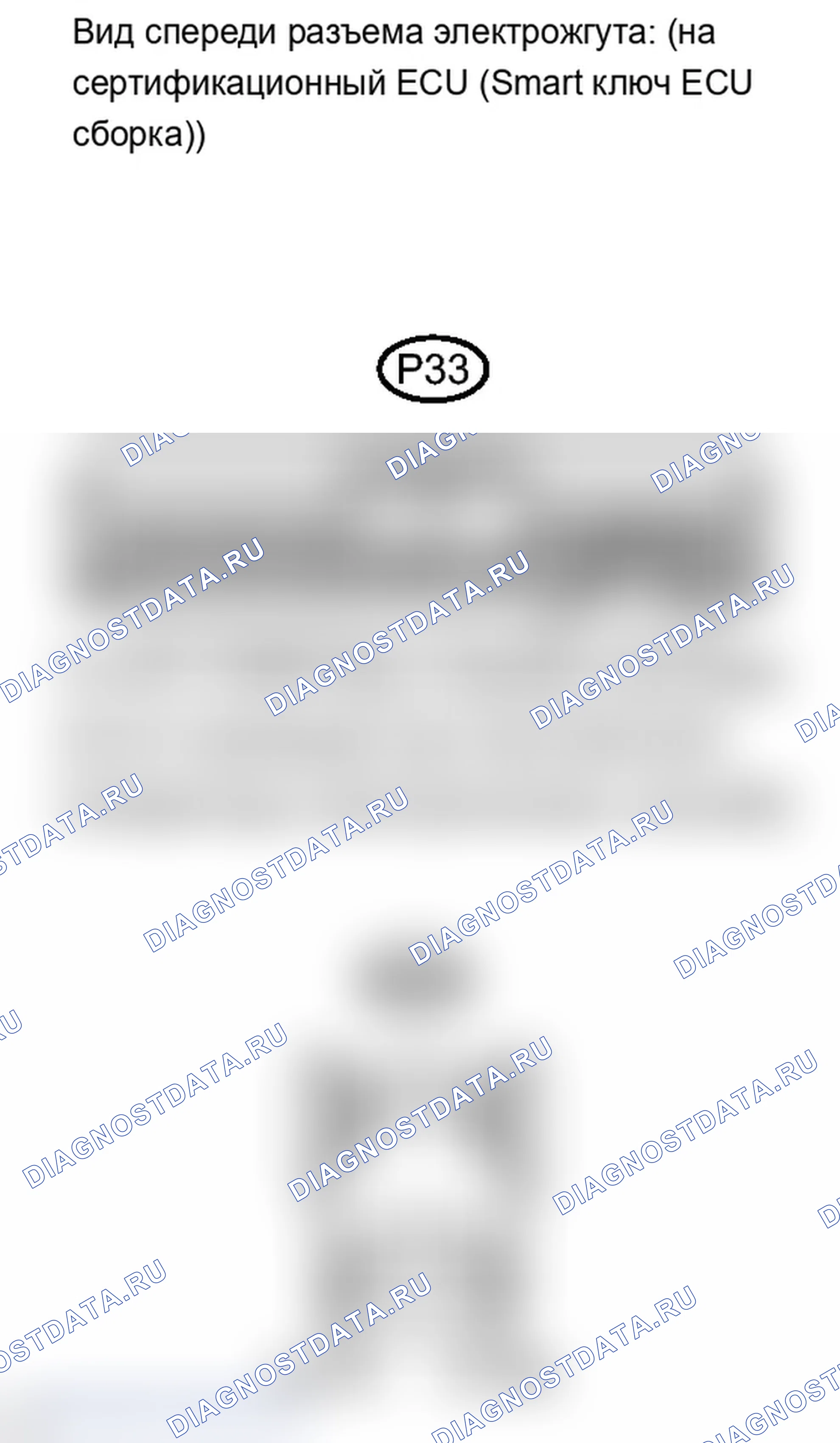 Рис. 271. Lexus IS F I