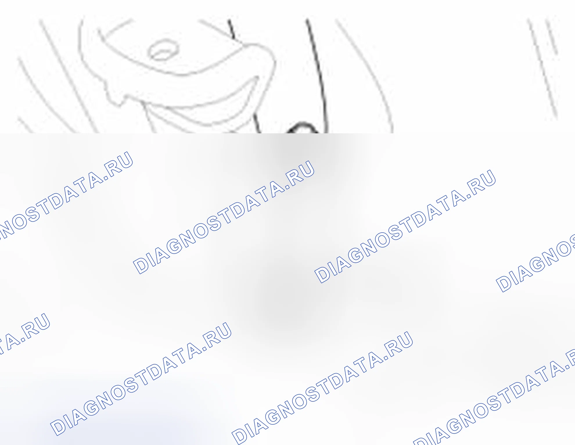 Рис. 77. Haval Beast (Shenshou) I