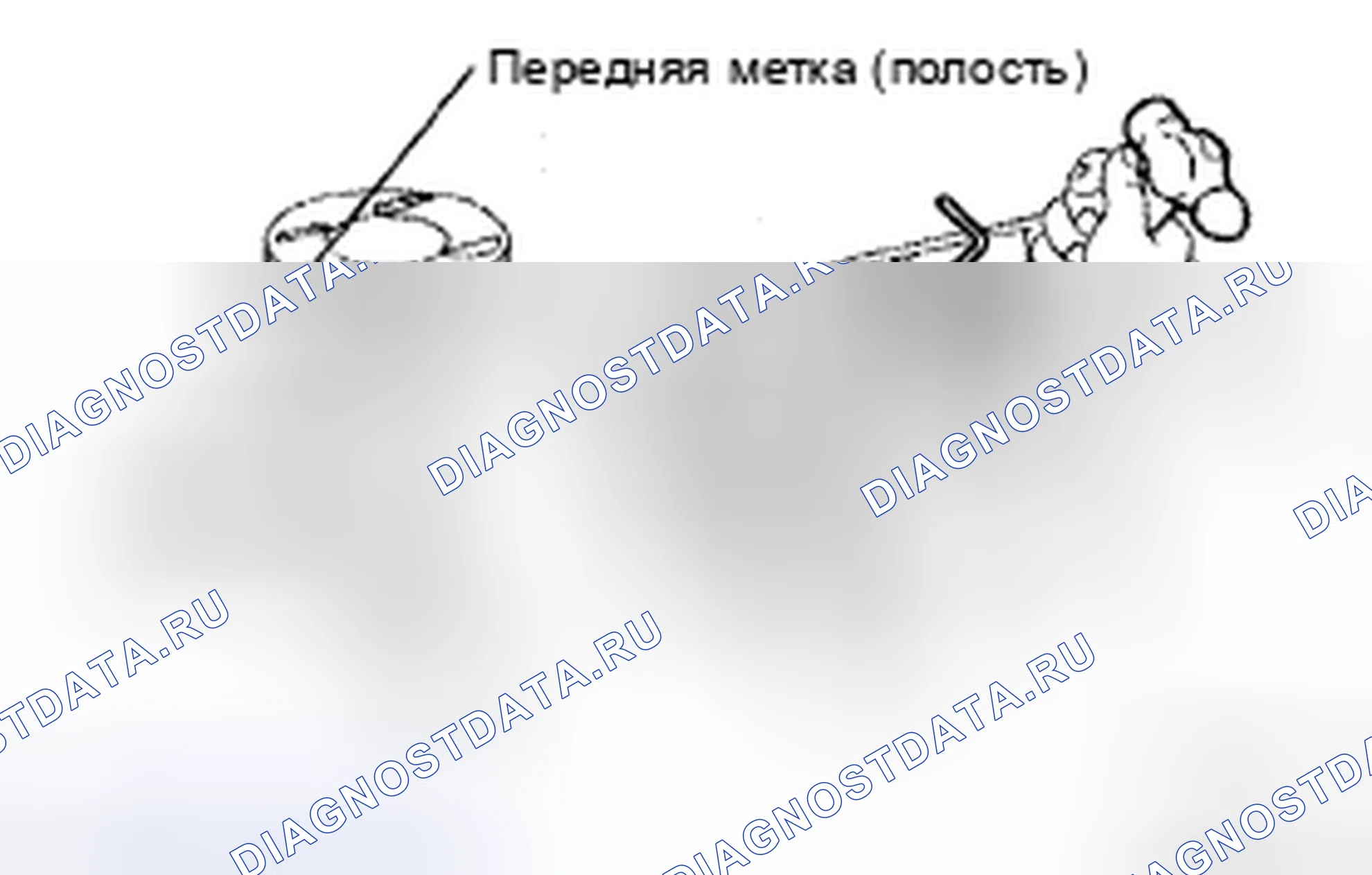 Рис. 355. Honda Accord IX