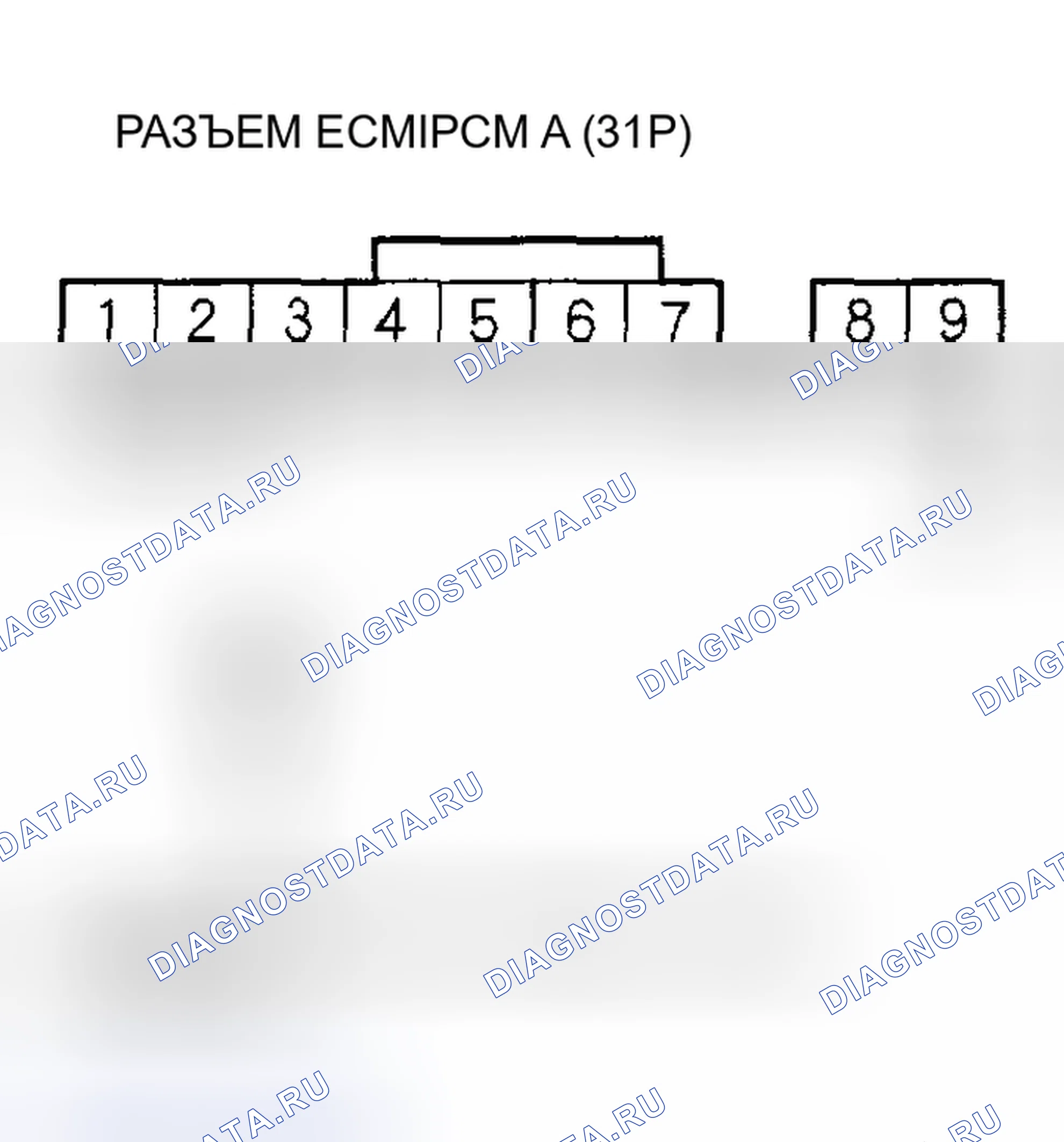 Рис. 386. Acura RSX I