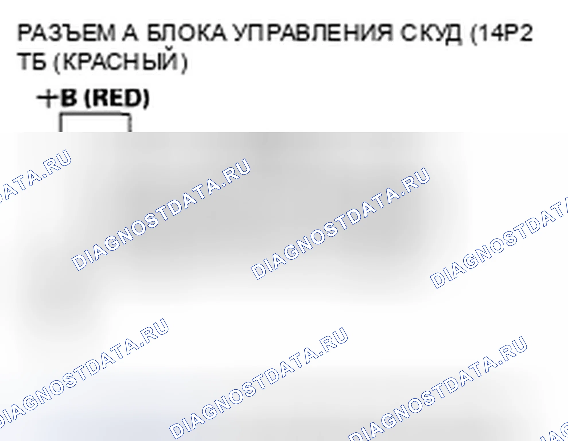 Рис. 33: Индикатор TPMS не гаснет, и коды неисправностей не сохраняются. Honda Pilot I