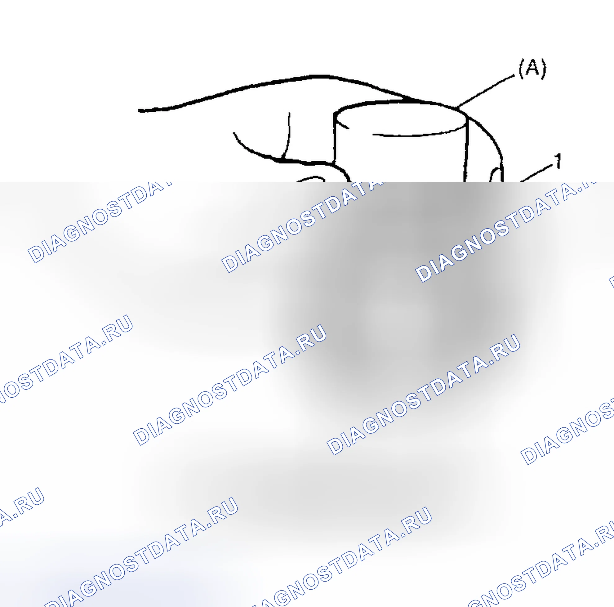 Рис. 86. Suzuki Aerio I