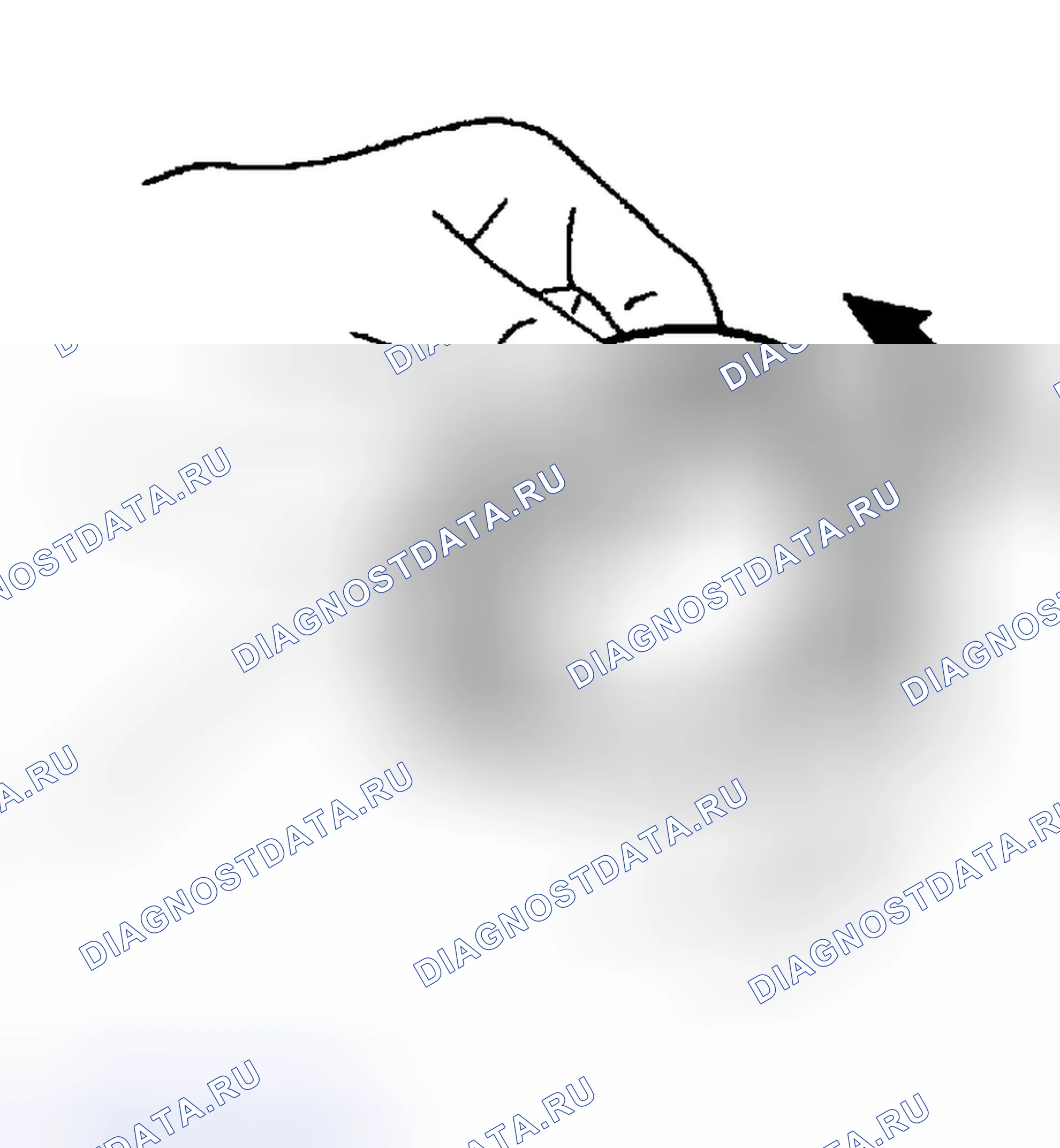 Рис. 61: ПОДШИПНИКИ. Honda Odyssey (North America) I