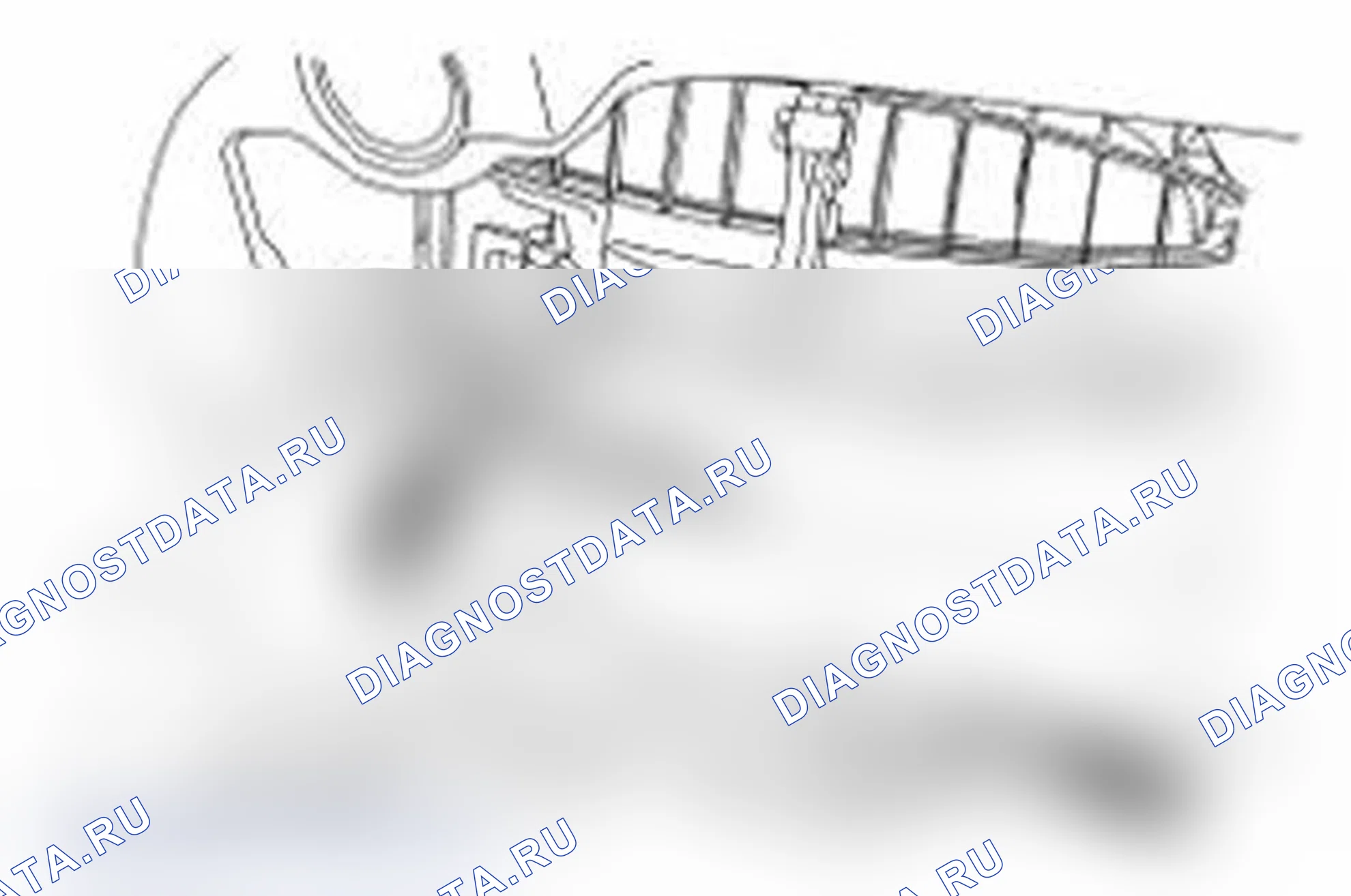 Рис. 45. Ford Transit Connect I рестайлинг