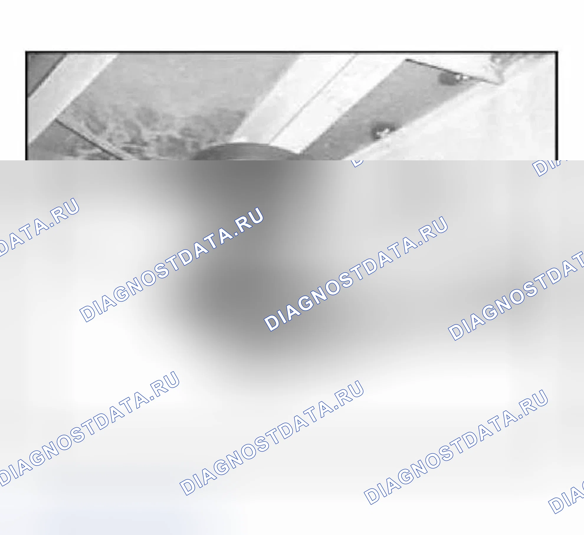 Рис. 15: Подъемная платформа Romaico-Lift с двумя стойками. BMW X5 E53 рестайлинг
