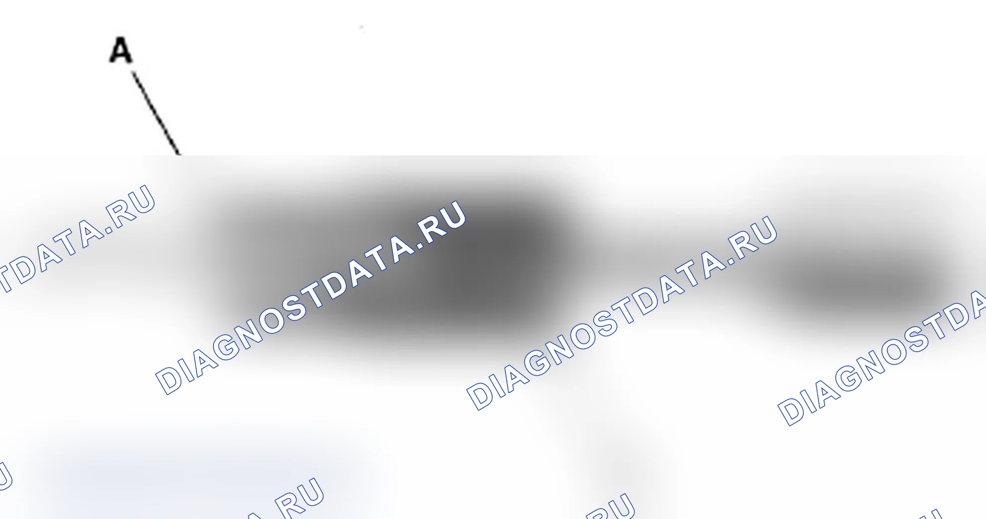Рис. 6. Acura RL II рестайлинг