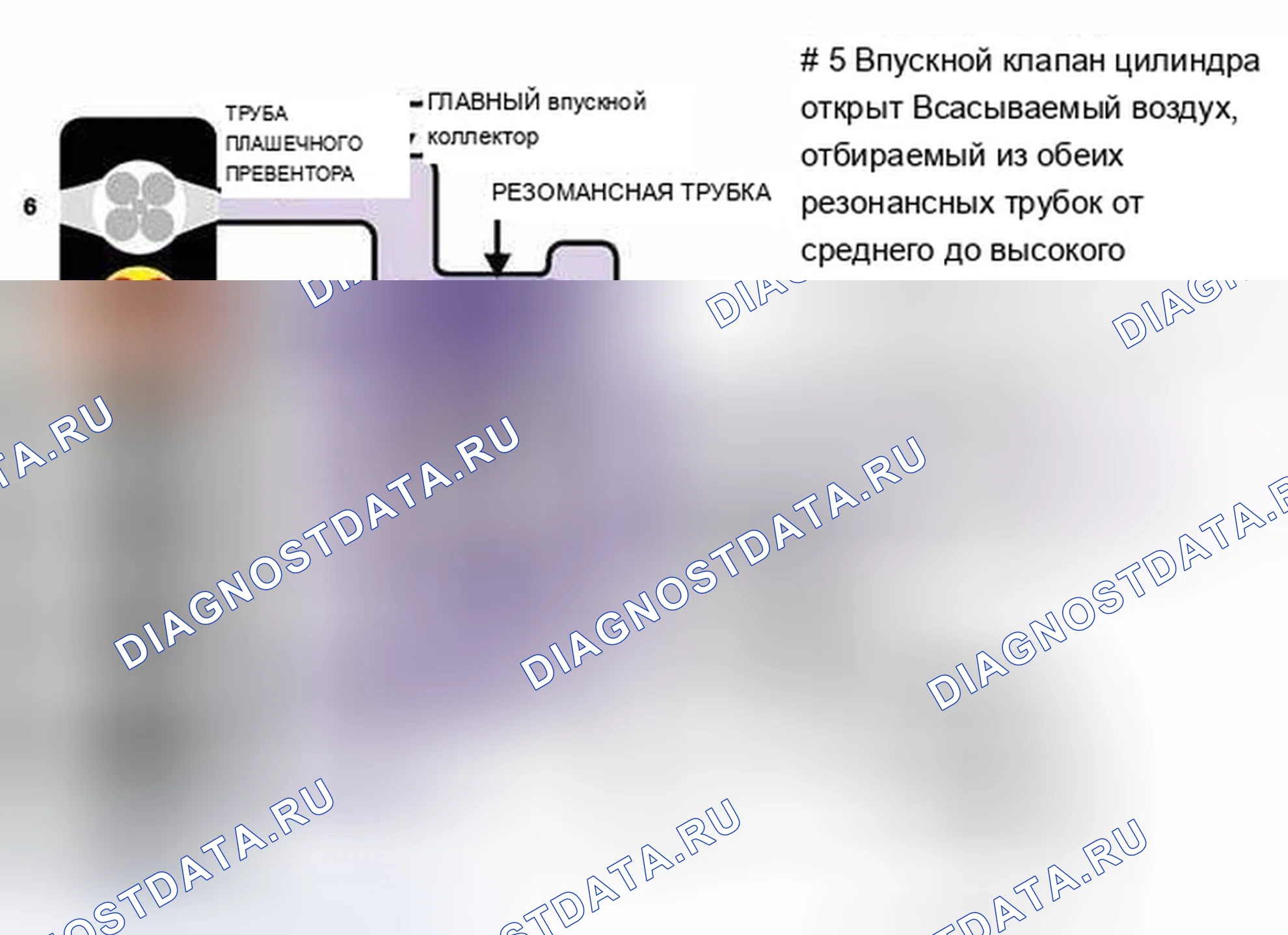 Рис. 556: Схема системы идентификации резонанса (3 из 3). BMW X5 E53
