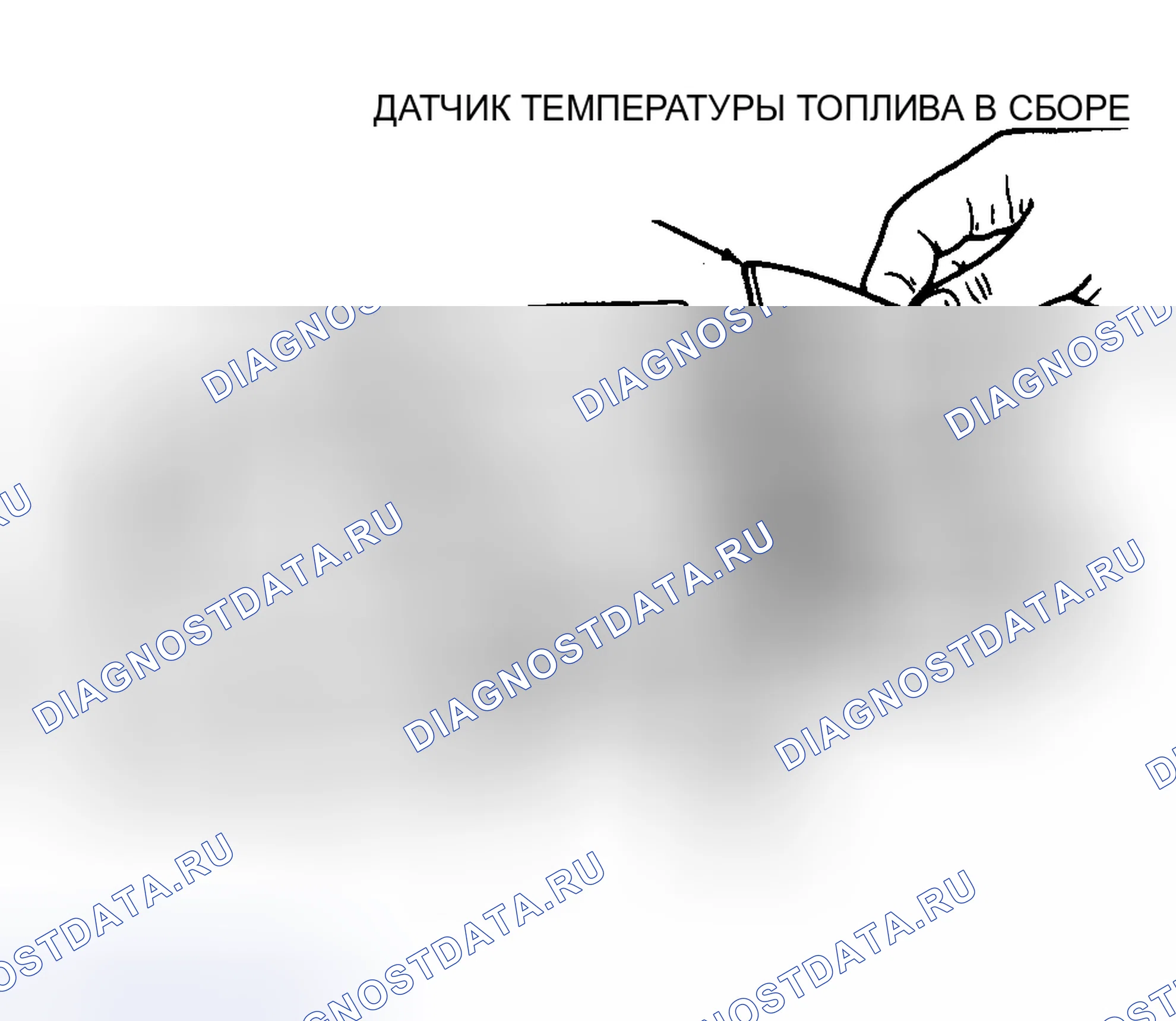 Рис. 6. Hyundai Santa Cruz I