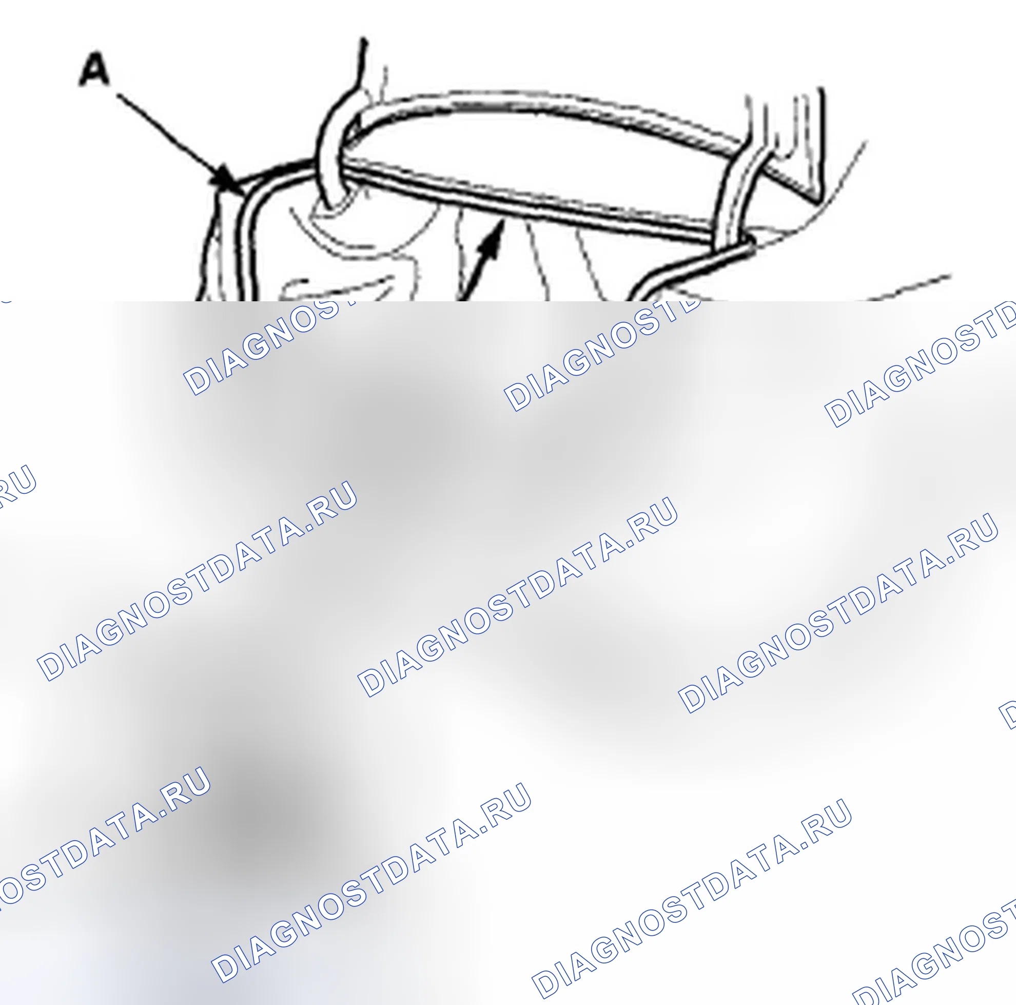 Рис. 367: Замена крышки багажника Weatherstrip. Acura TSX II
