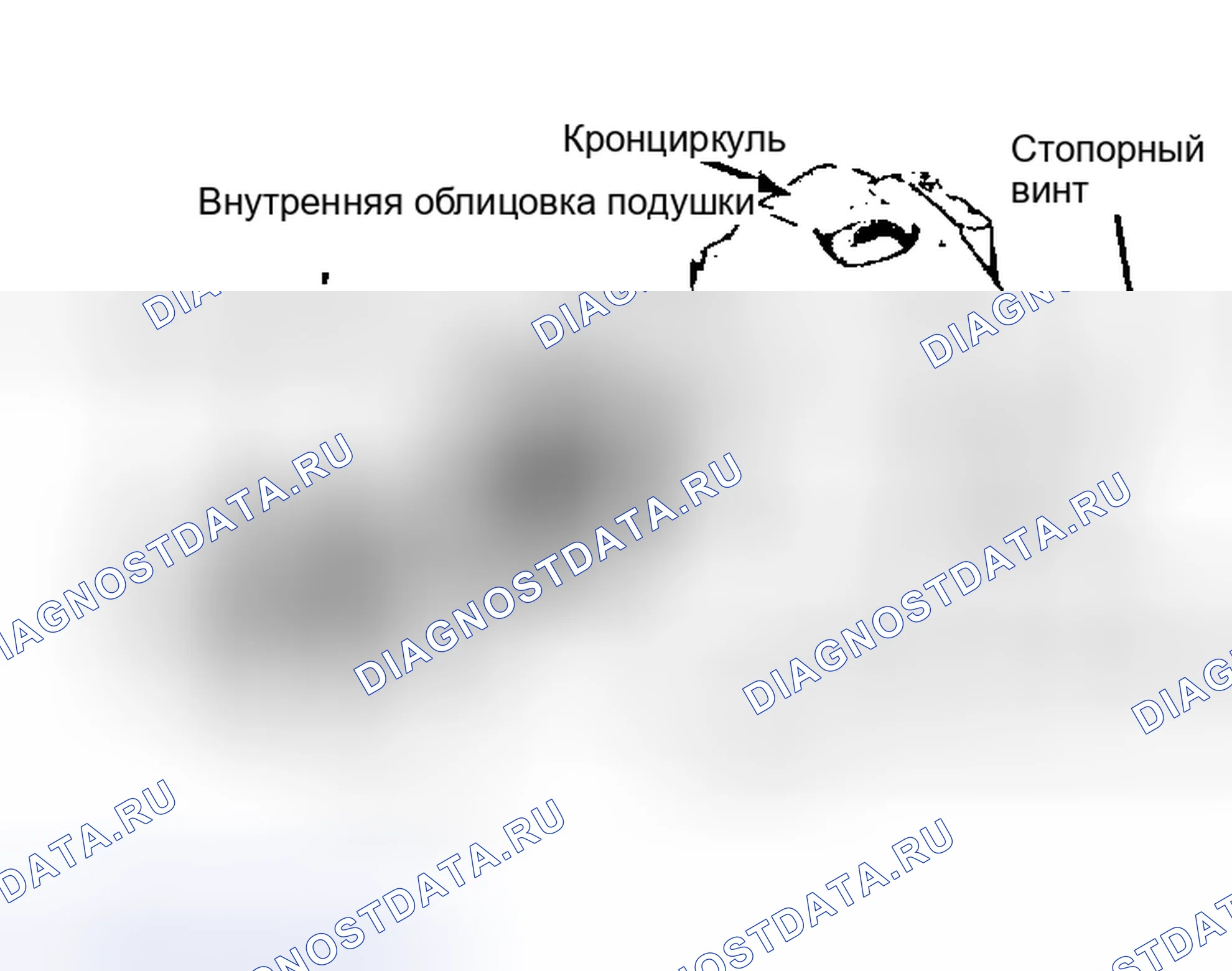 Рис. 14. Ford Cab & Chassis F350 