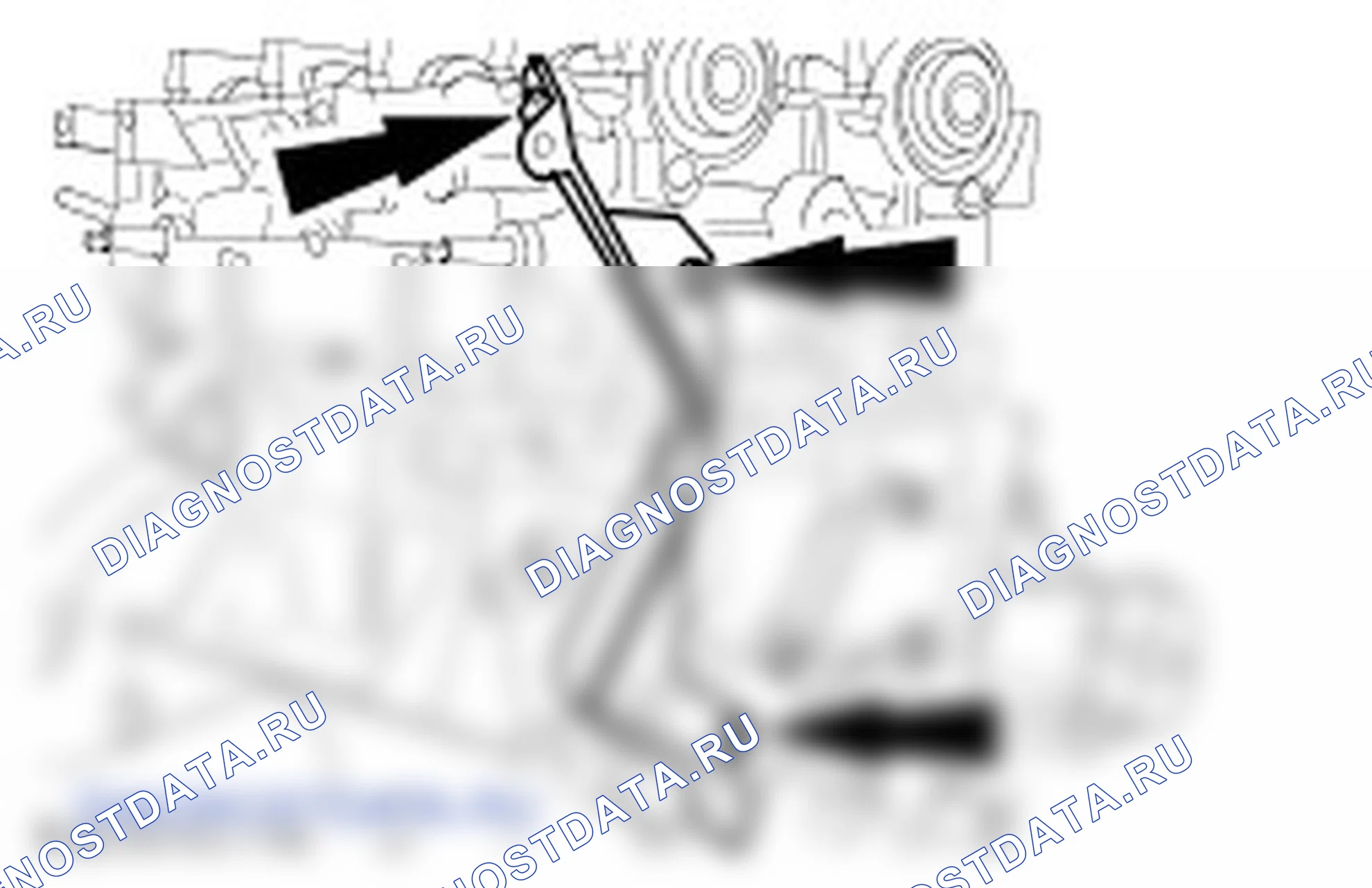 Разборка двигателя. Ford C-MAX I рестайлинг