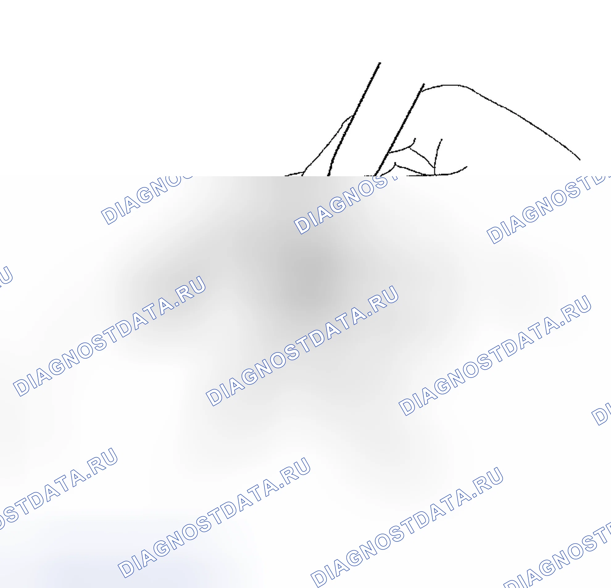 Рис. 255. Haval Xiaolong Max I