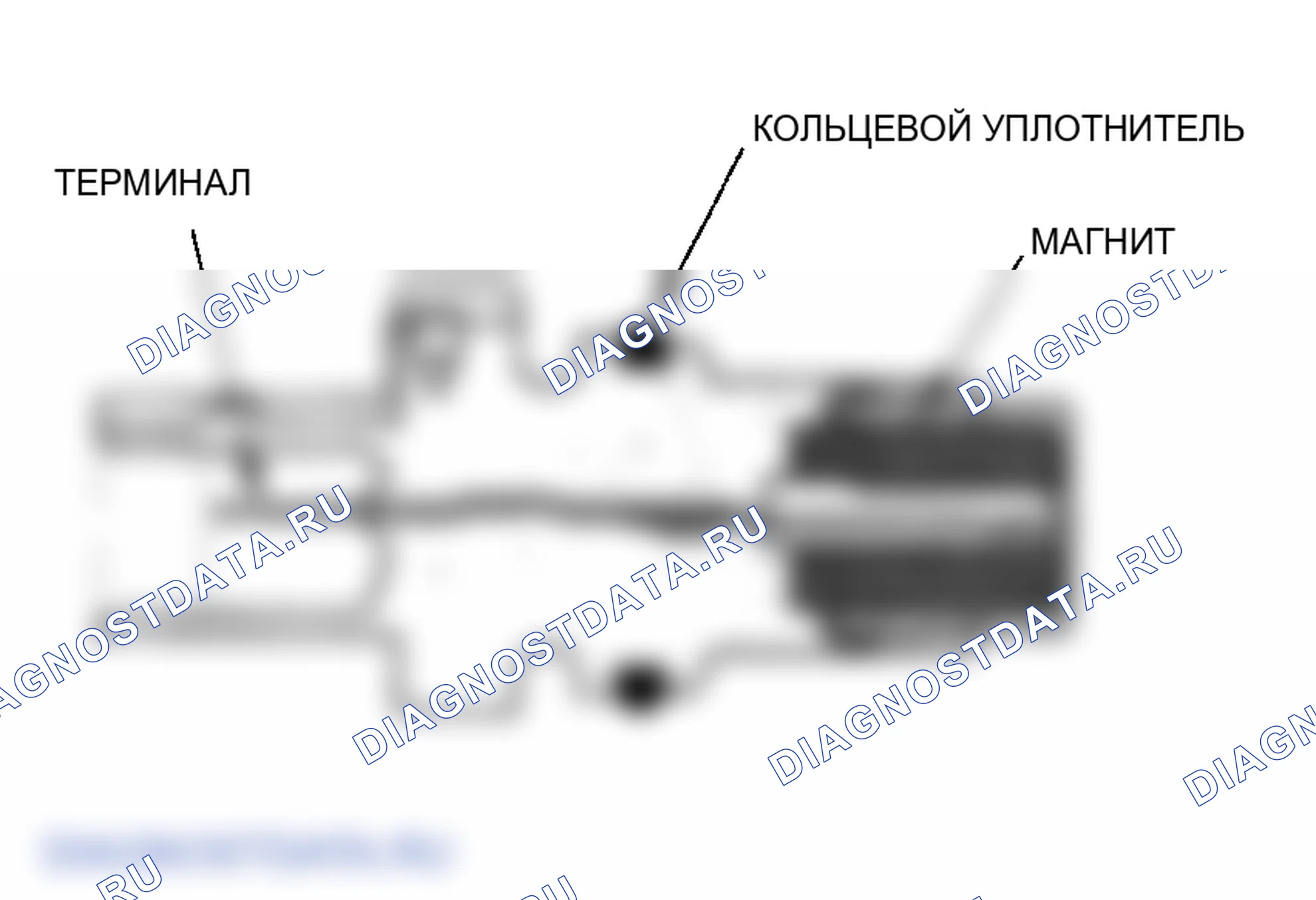 Рис. 25: Датчик положения коленчатого вала (Ckp). Honda S2000 AP2 рестайлинг