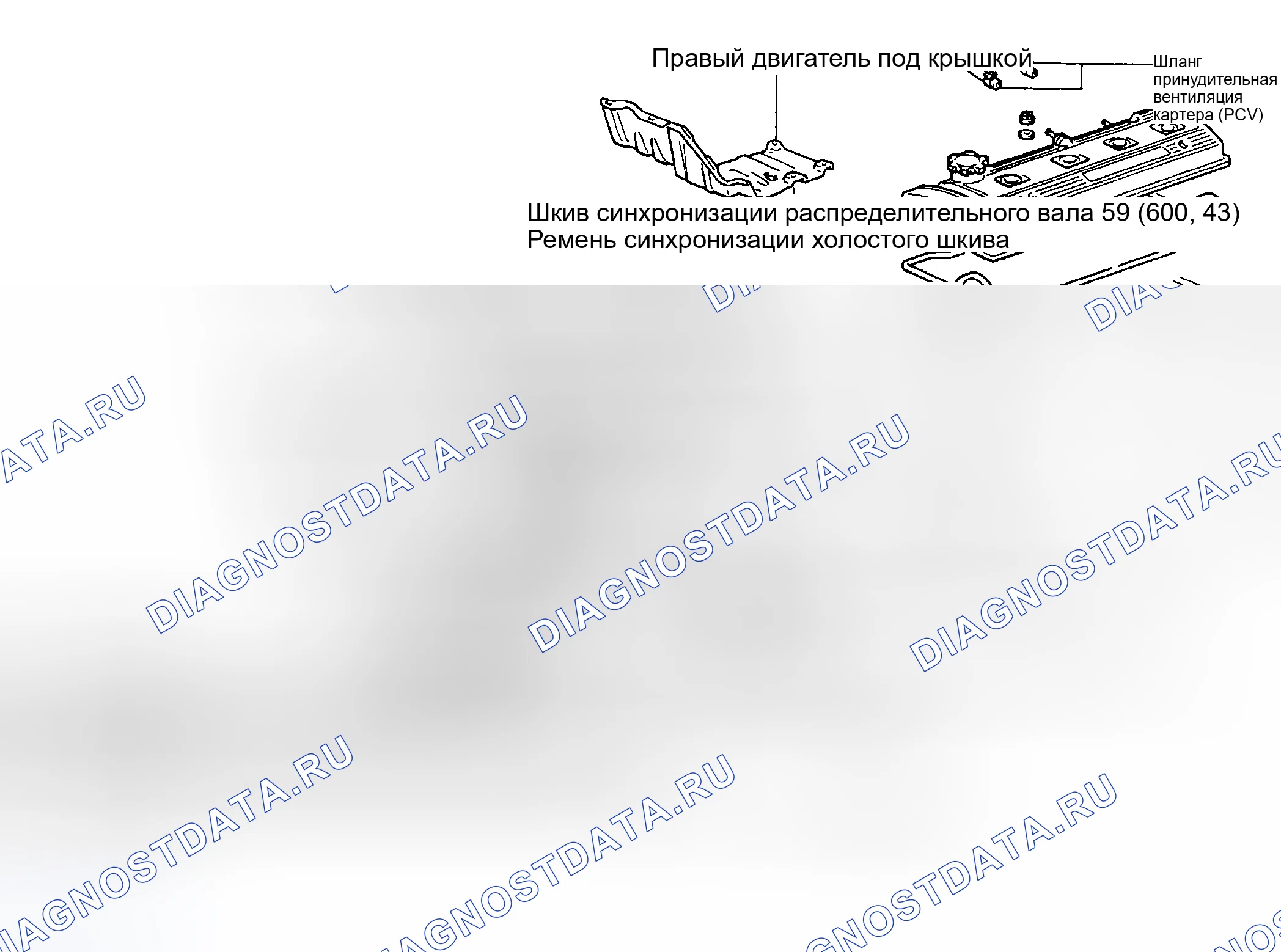 Рис. 13: ПРОКЛАДКА ПРИВОДНОГО РЕМНЯ (COROLLA). Toyota Paseo L40