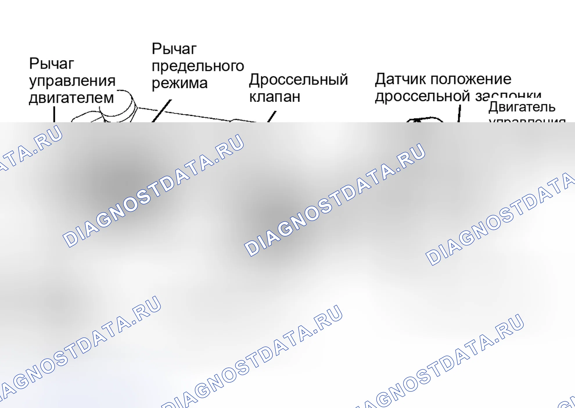 Рис. 60: КОРПУС ДРОССЕЛЯ. Honda Accord XI
