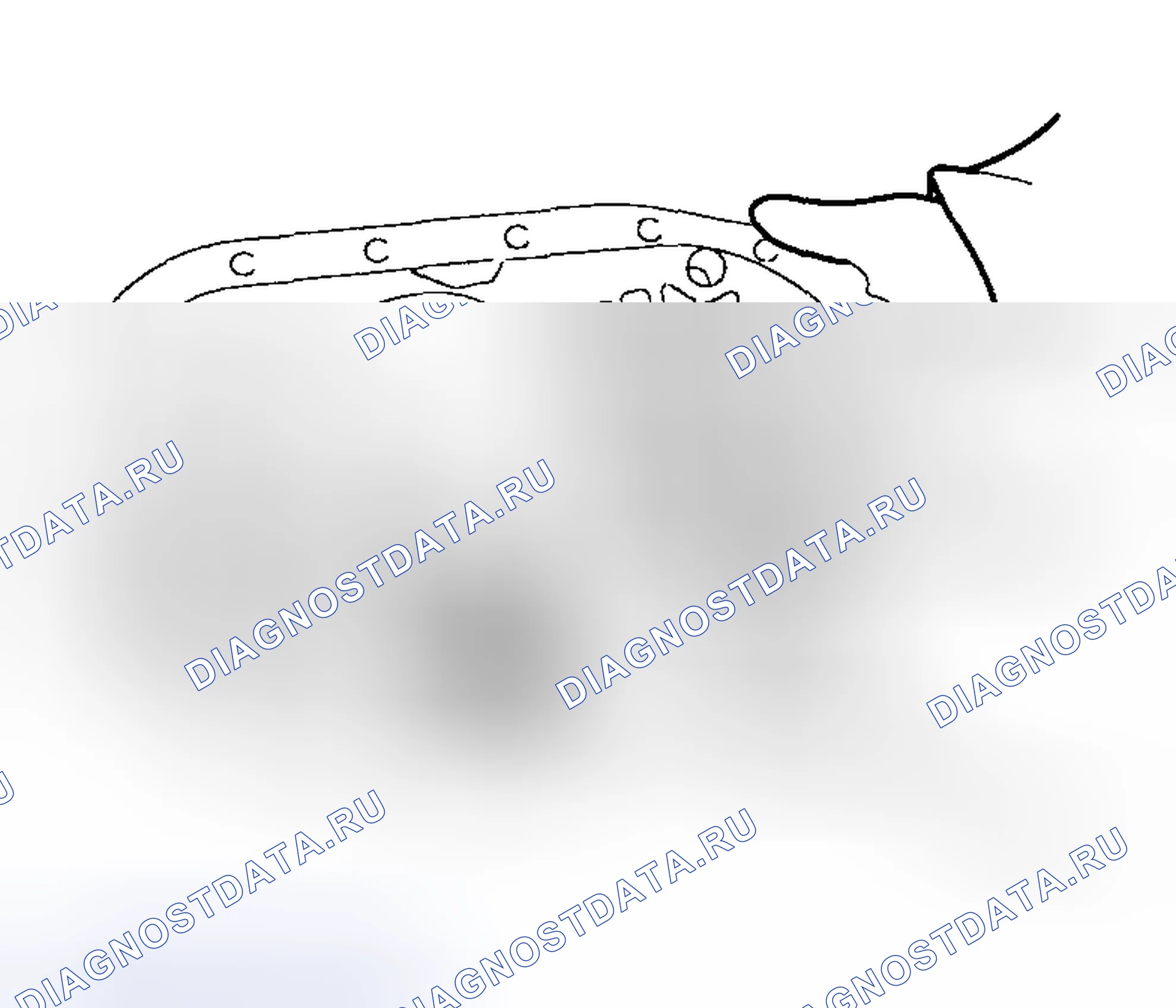 Рис. 50. Haval Chitu I