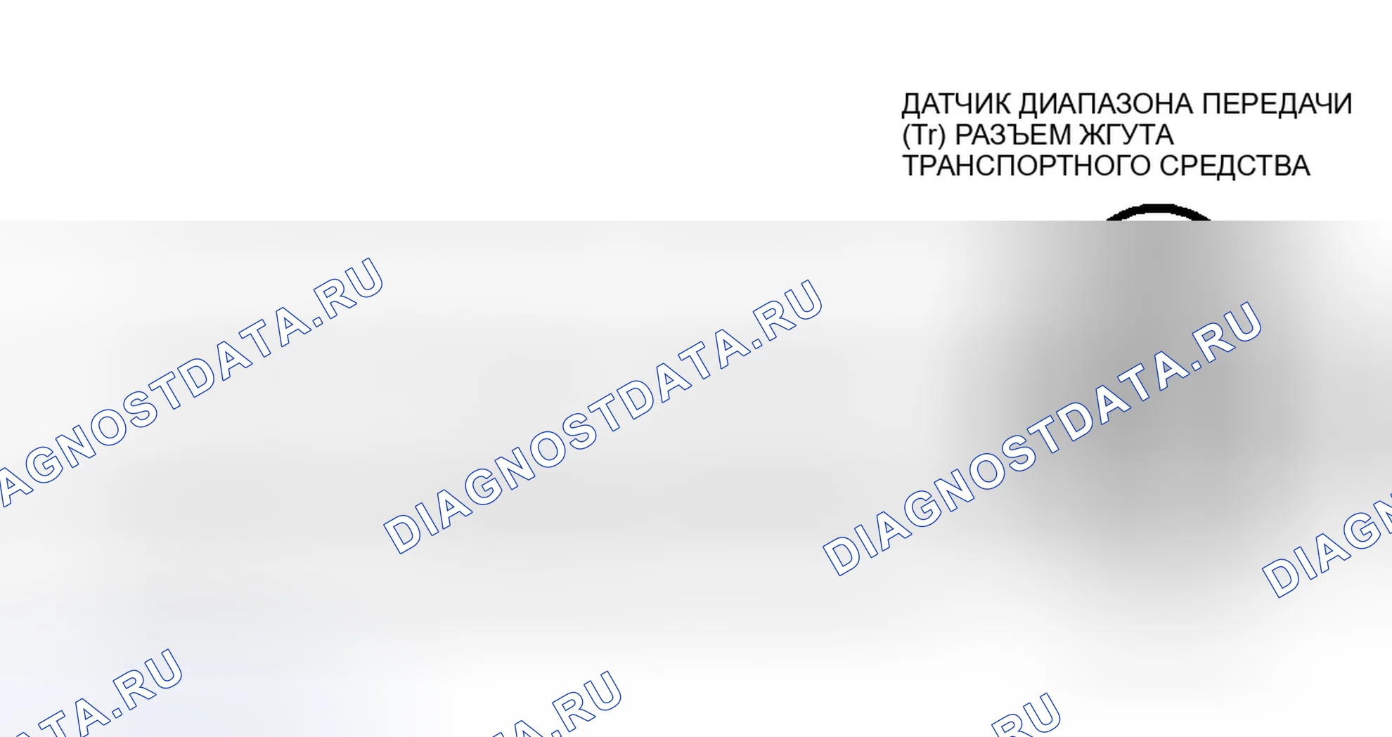 Рис. 113: Идентификация цепей датчика Tr (AODE). Ford Mustang IV