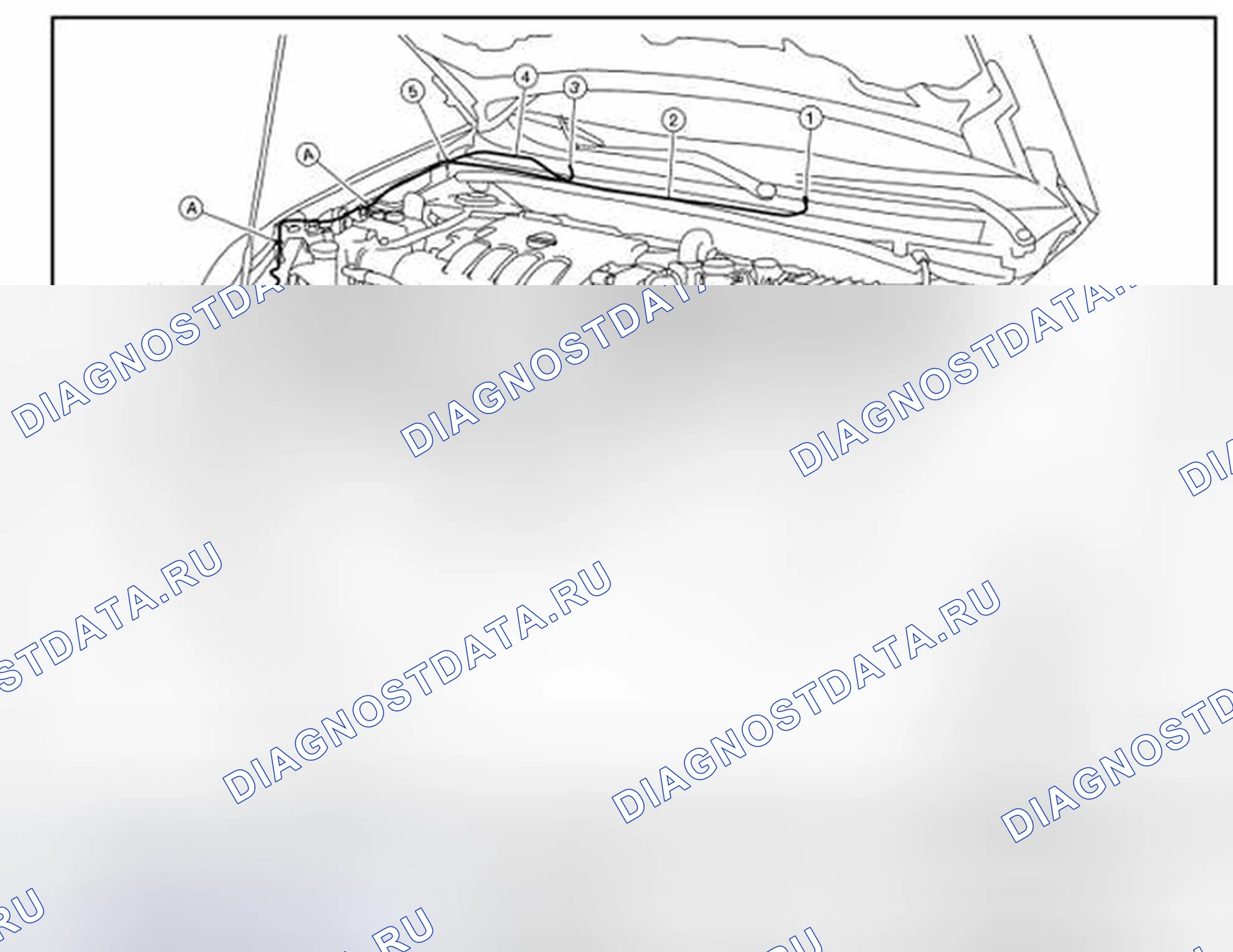 Рис. 18: Схема расположения трубок омывателя. Nissan Sentra B16 рестайлинг