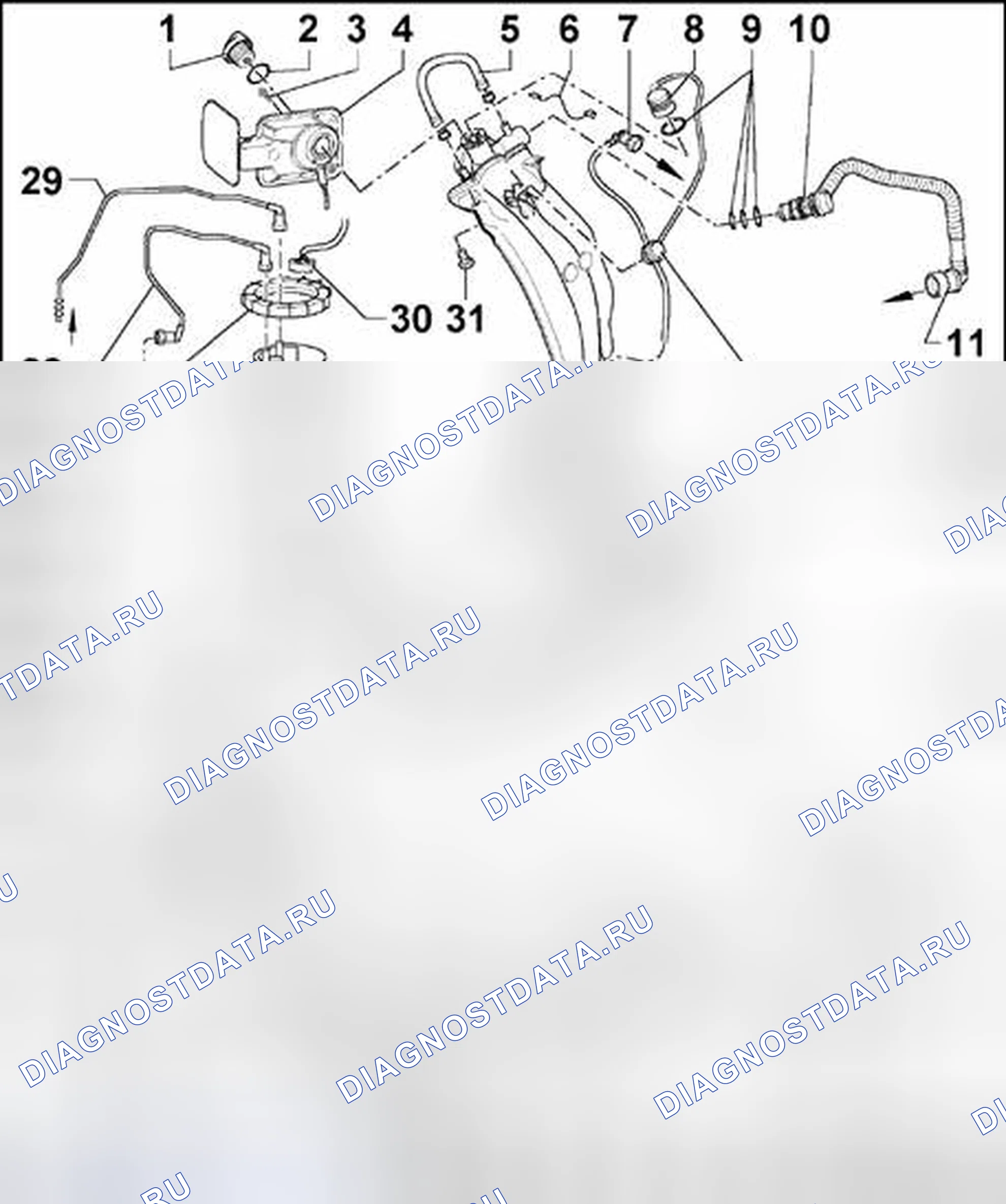 Рис. 202: Коды двигателей AEG, AVH, AZG, BEV. Volkswagen Jetta IV