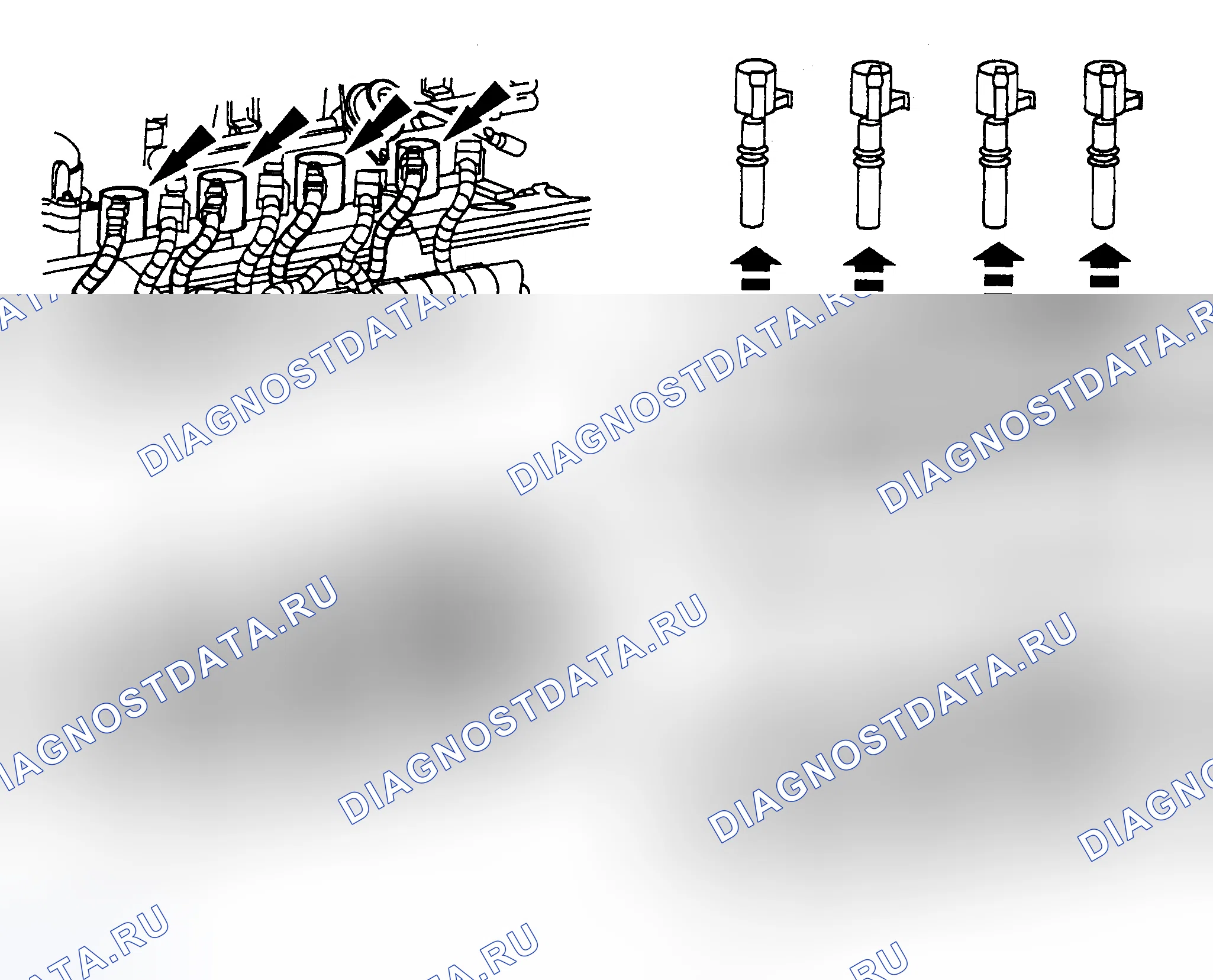 Рис. 4: Катушки свечи зажигания (4,6 л катушки на свече). Hyundai ix20 I рестайлинг
