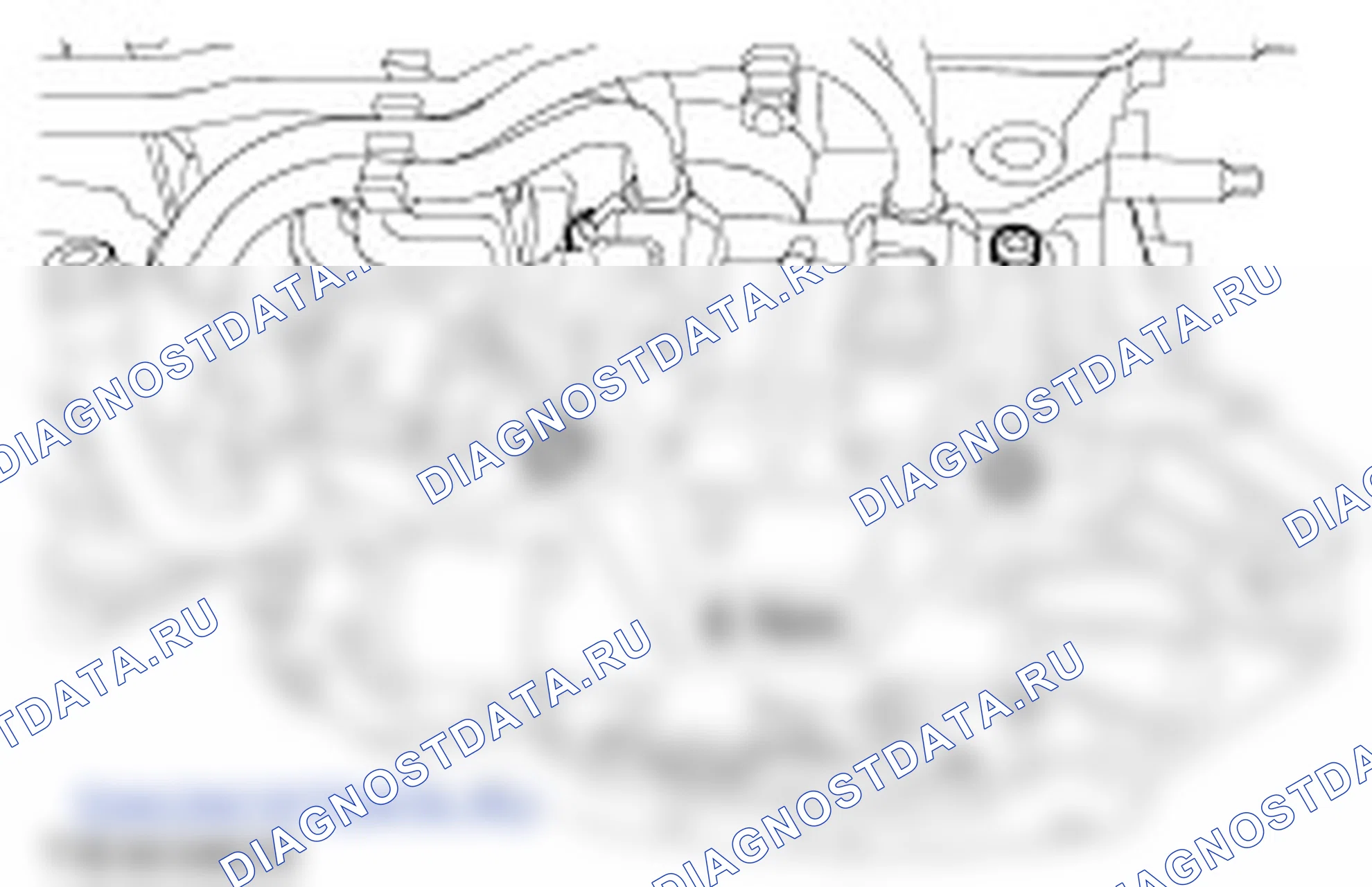 Сборка двигателя. Ford C-MAX I рестайлинг
