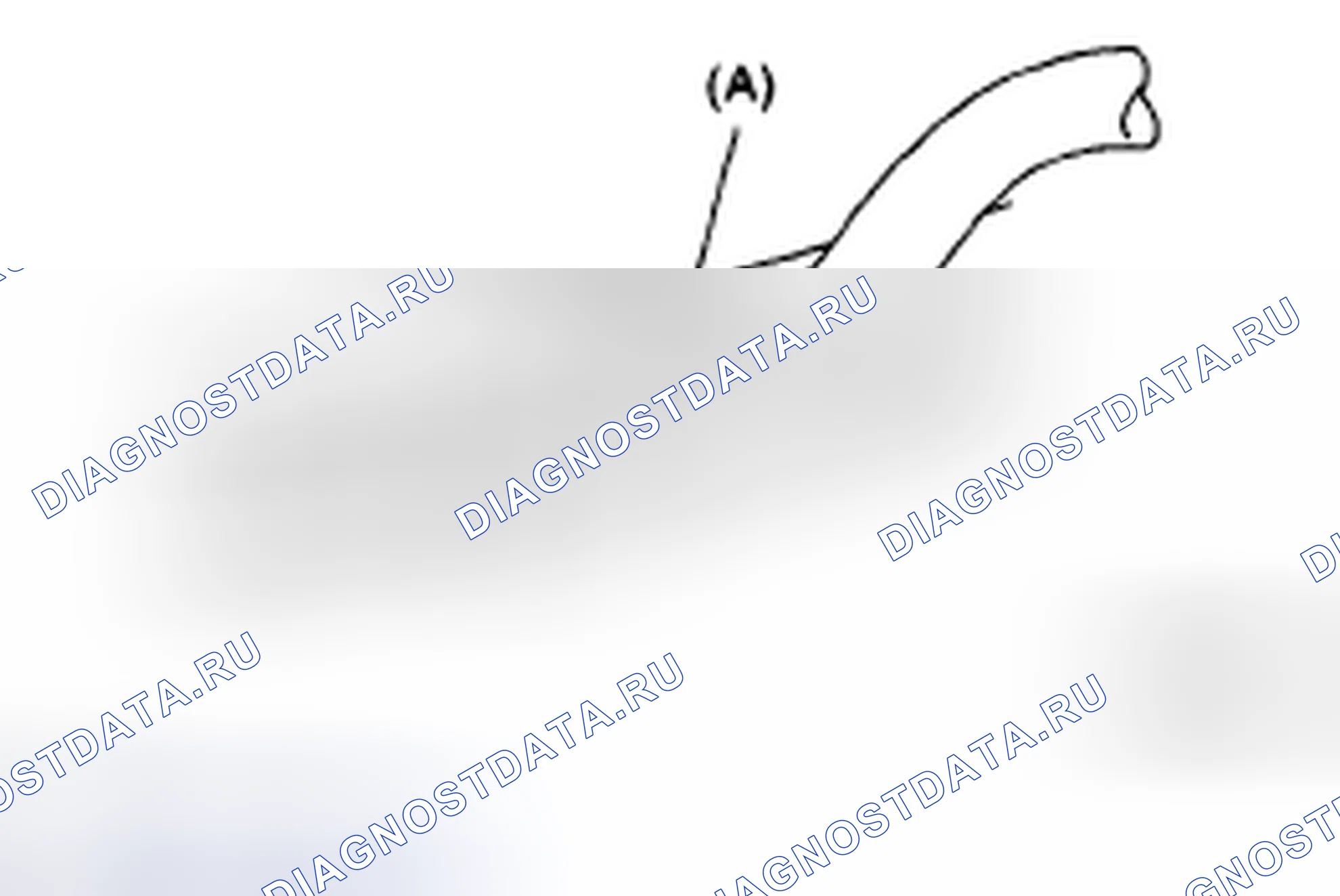 Рис. 36: ОБЪЕКТИВ. Honda Vezel I