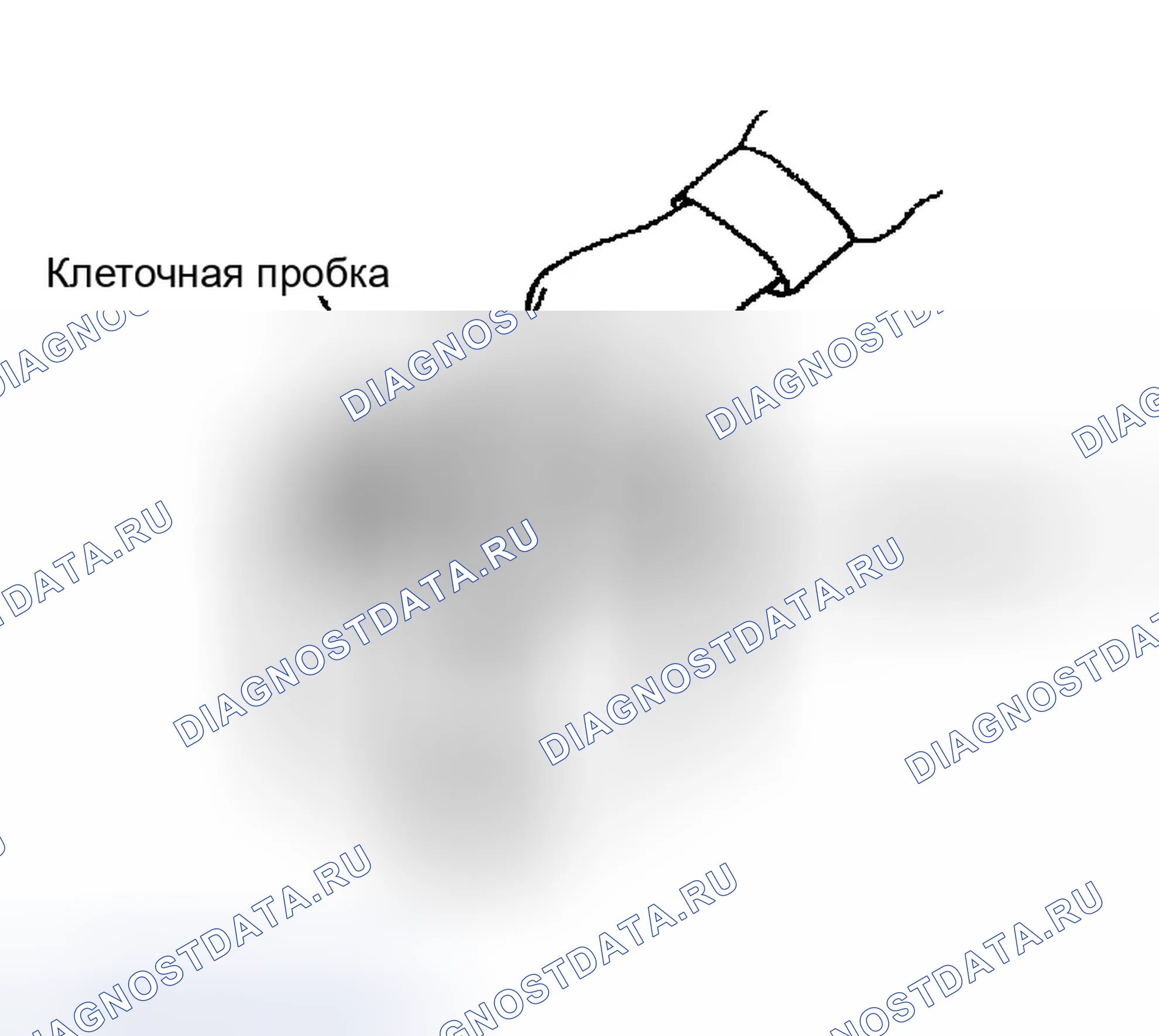 Рис. 21. Infiniti FX35 I