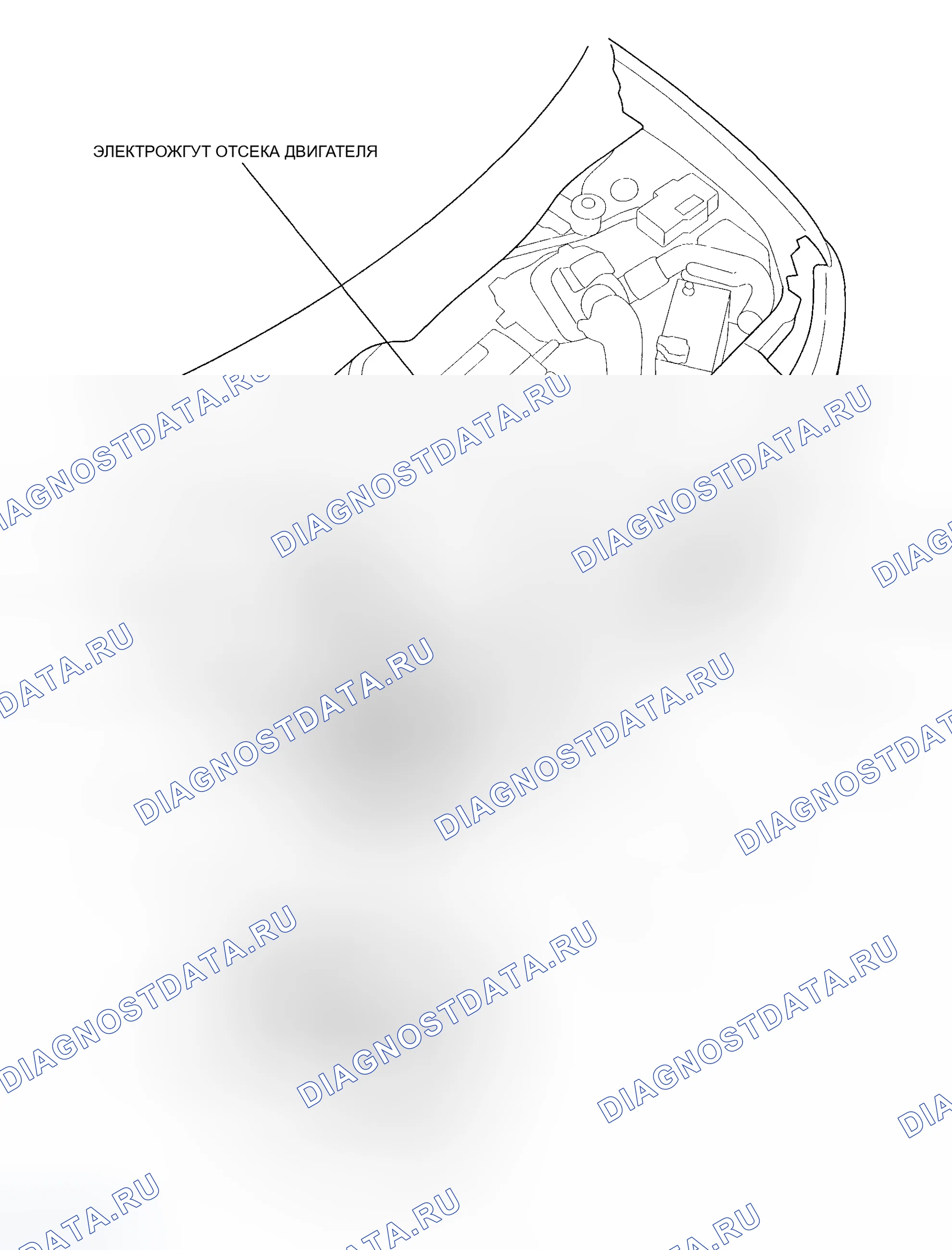 Рис. 22. Honda Element YH2