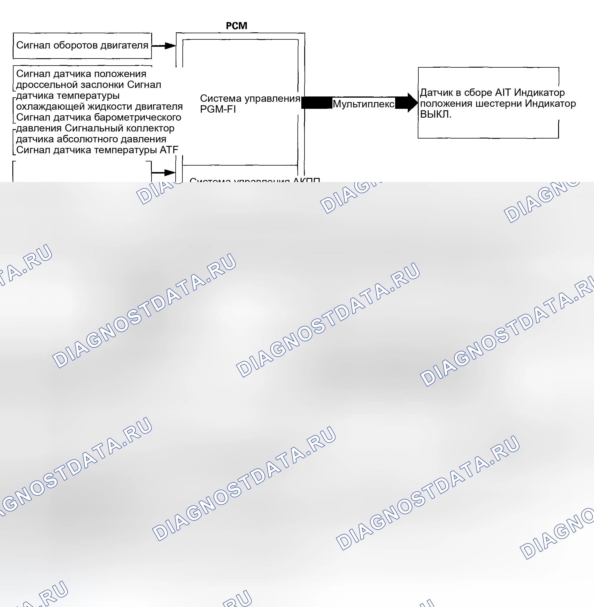 Рис. 446: Функциональная схема. Honda Element YH2