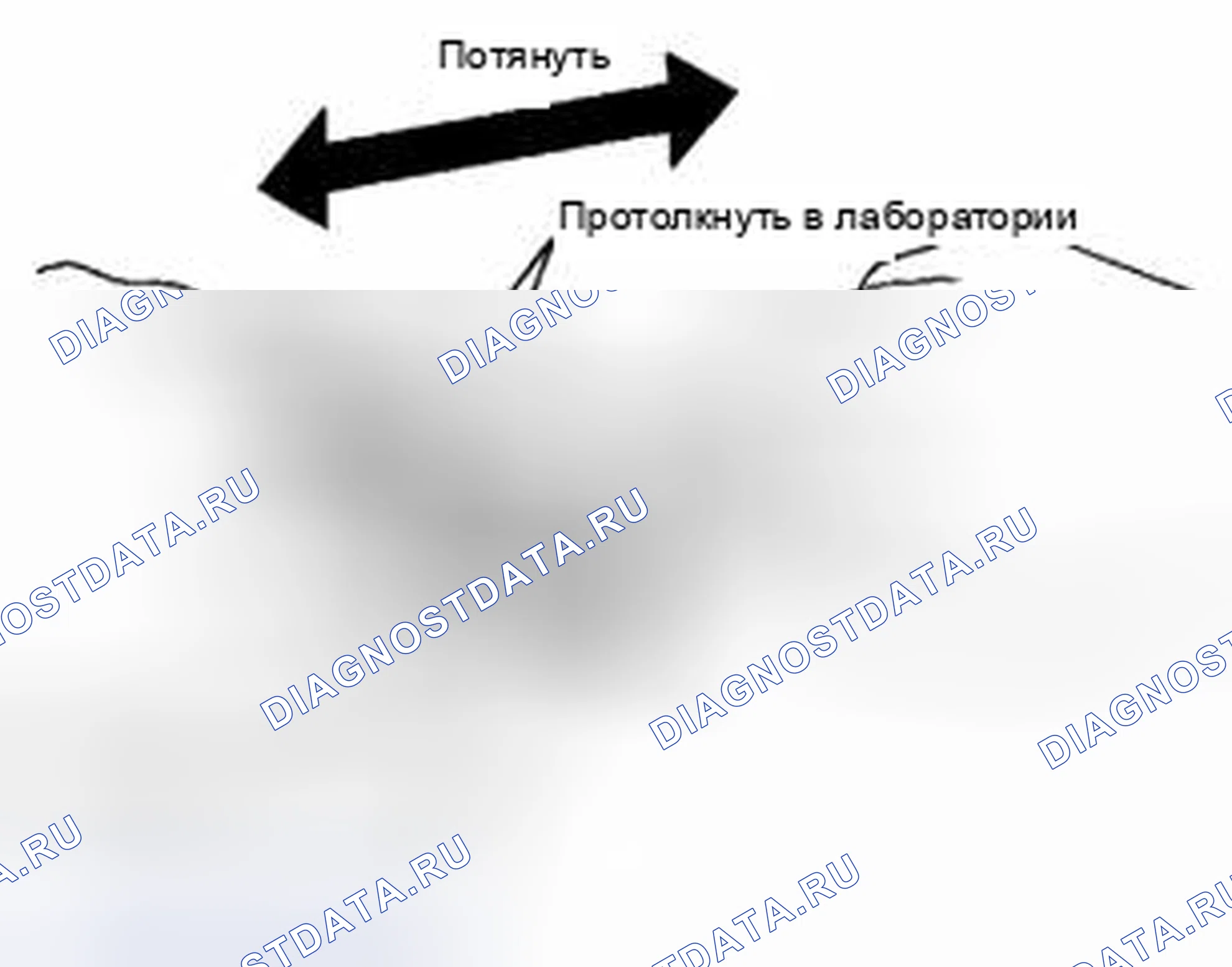 Рис. 33. Suzuki Equator I