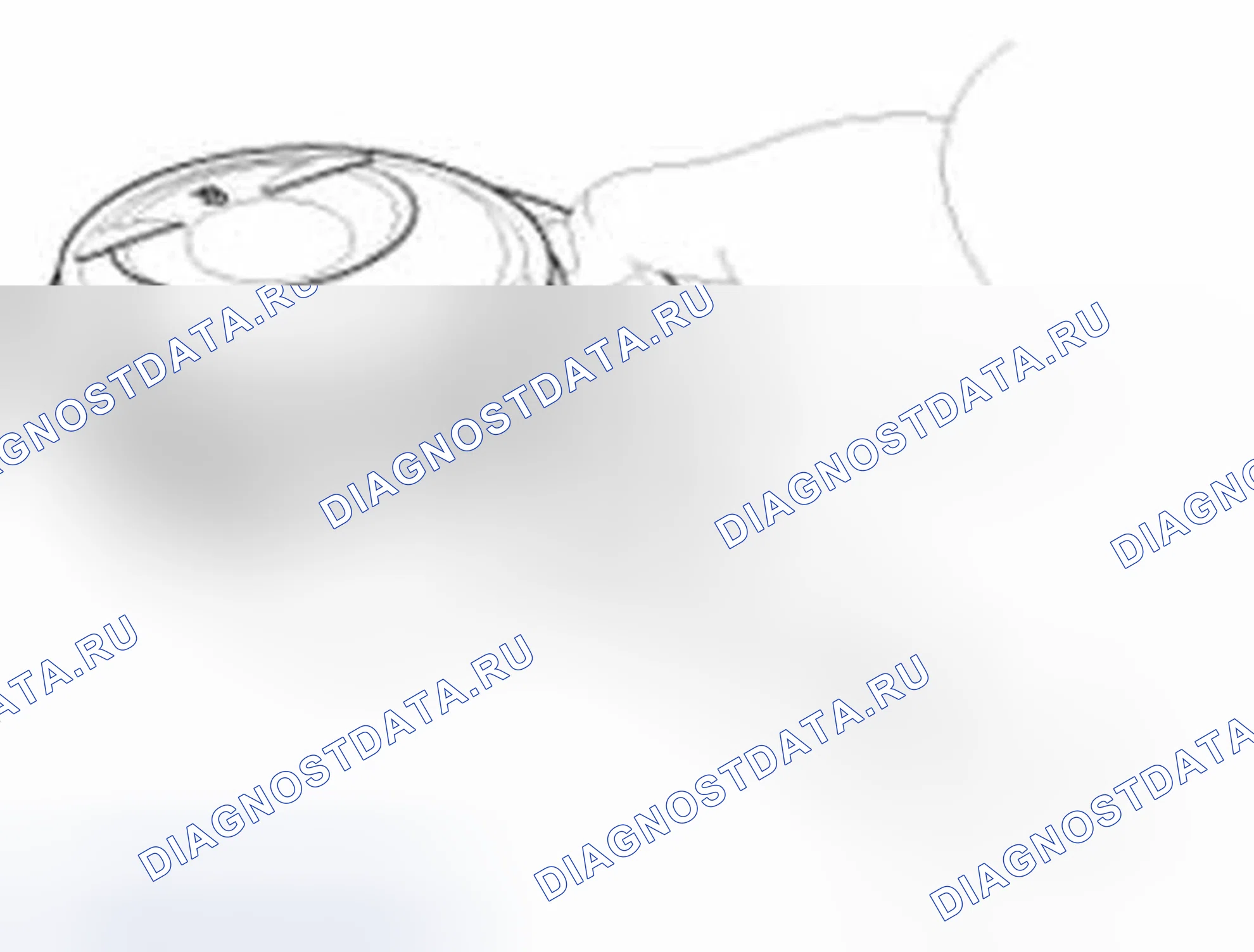 Рис. 578: Поршень и кольца. Hyundai Sonata VI
