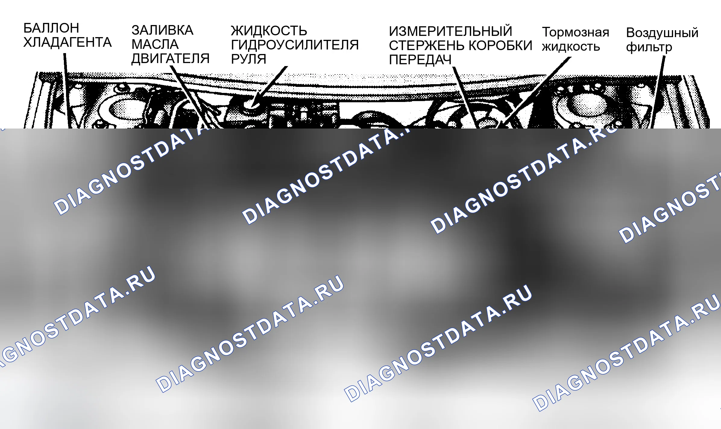 Рис. 4. Dodge Stratus I