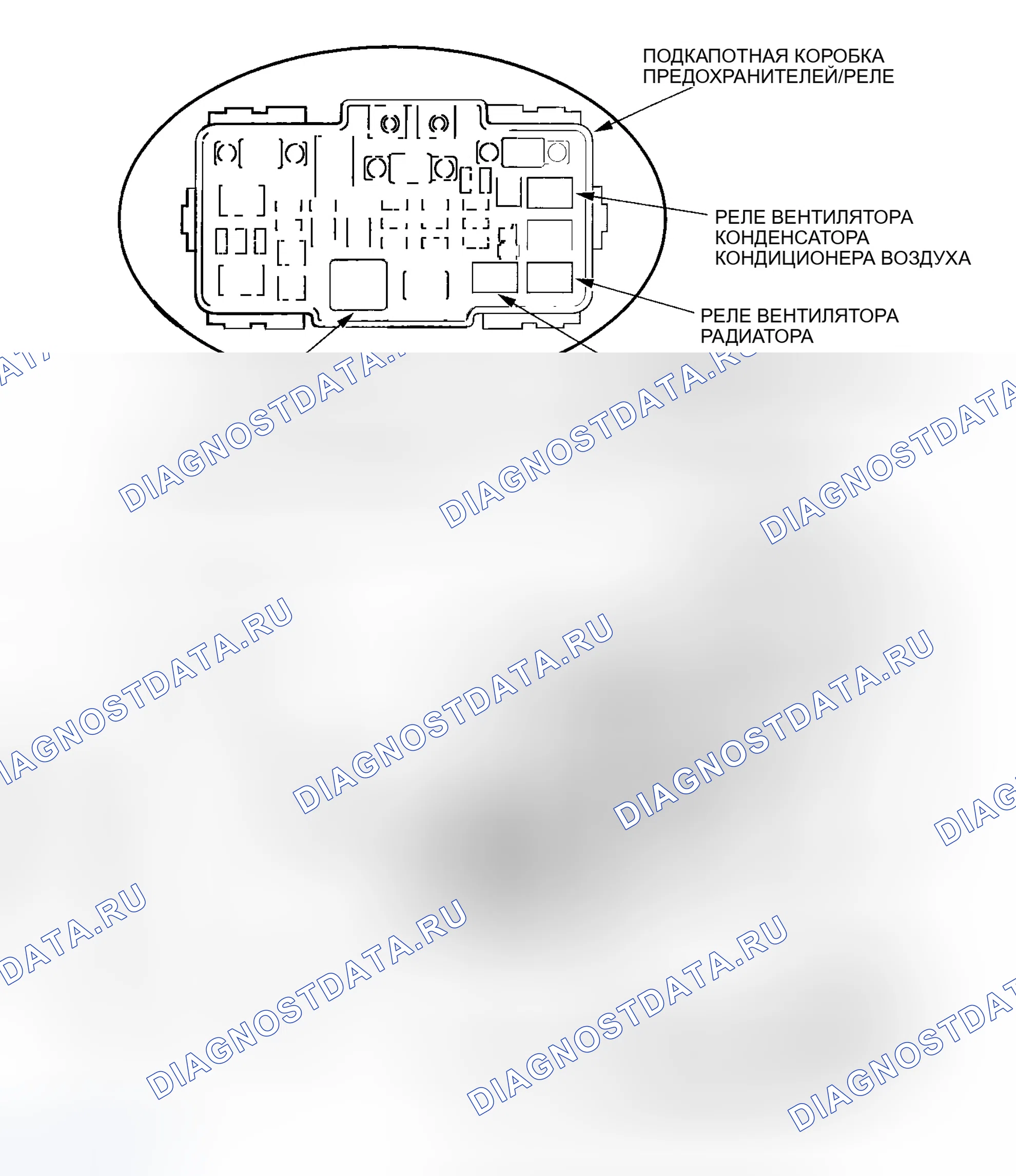 Рис. 95. Honda Element YH2