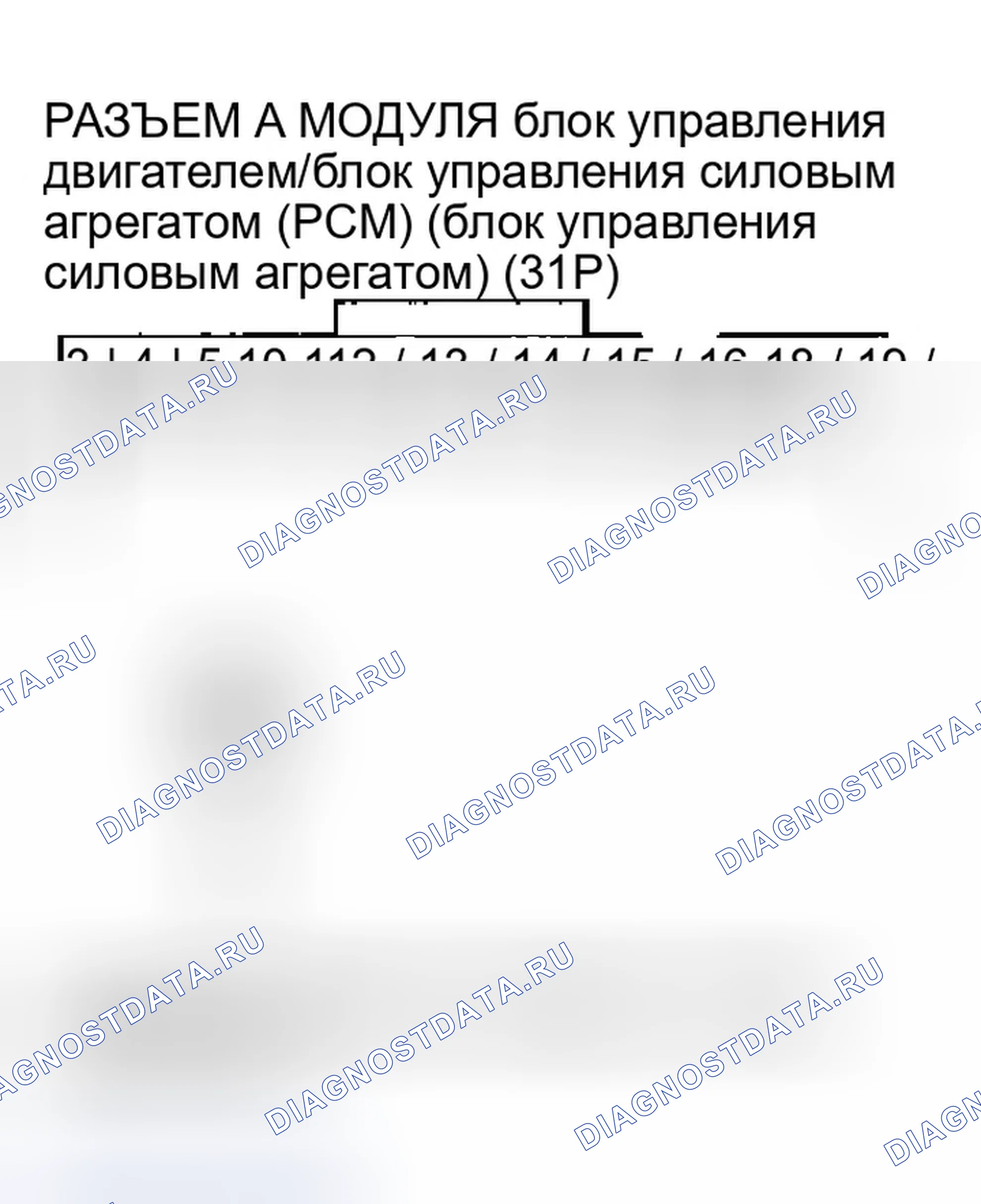 Рис. 218. Honda Element YH2