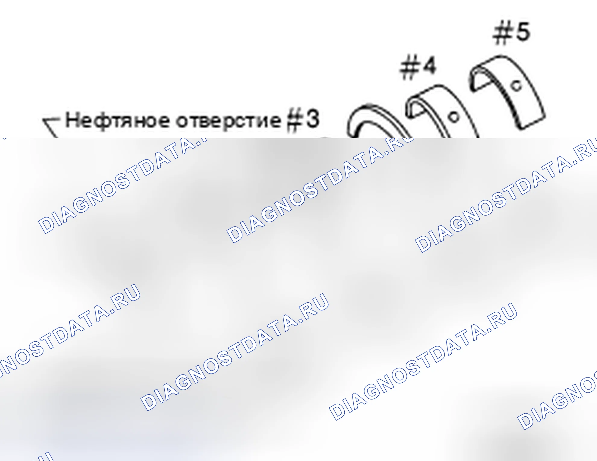 Рис. 262: ОСНОВНОЙ ПОДШИПНИК. Audi RS6 C8