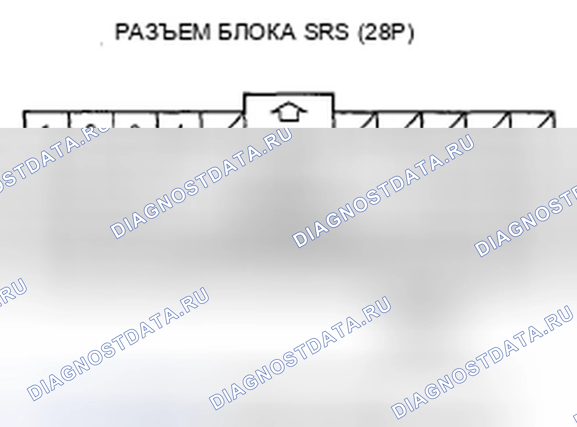 Рис. 488. Honda Accord VII рестайлинг